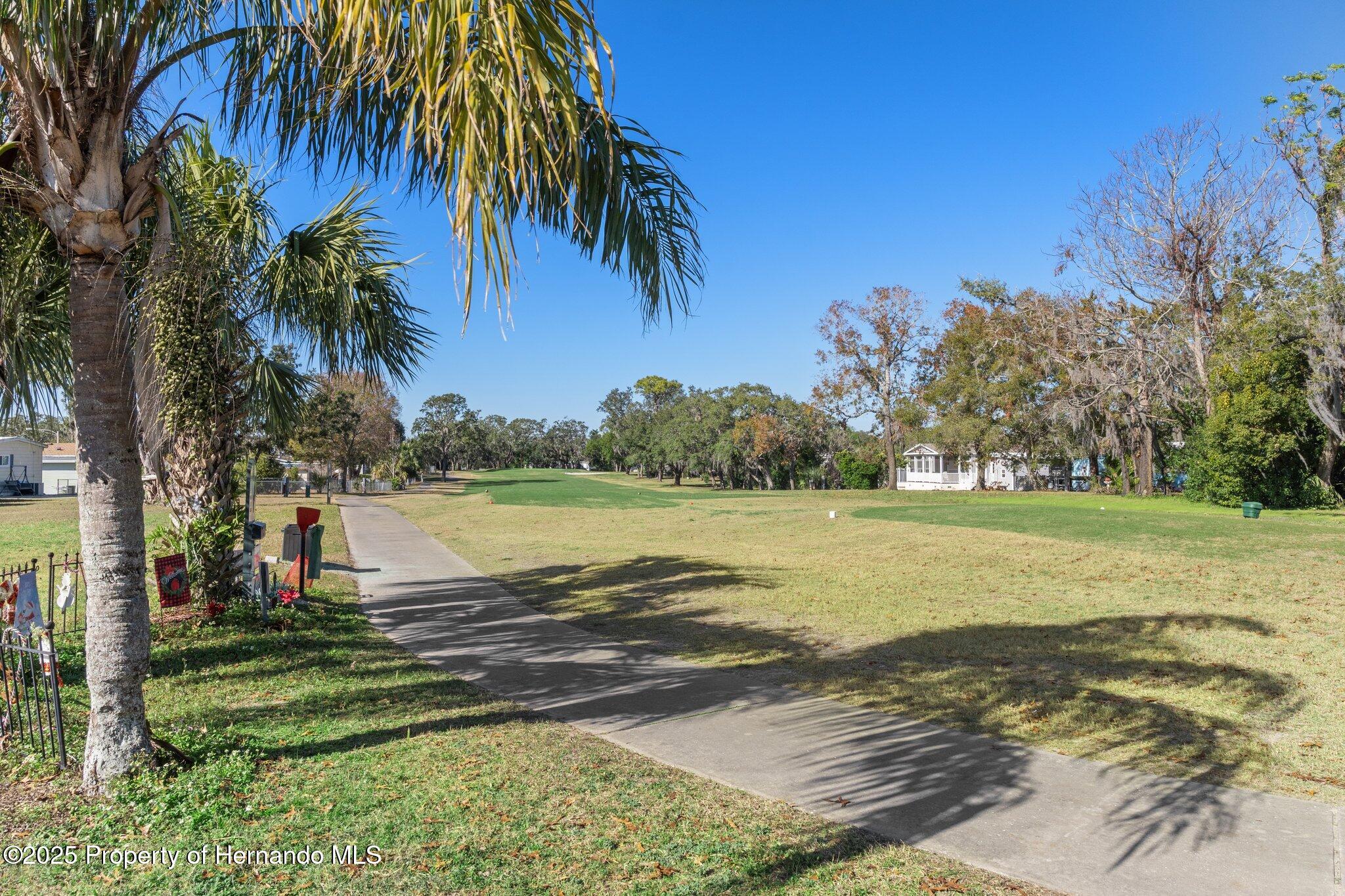 7468 Little Tee Lane, Brooksville, Florida image 2