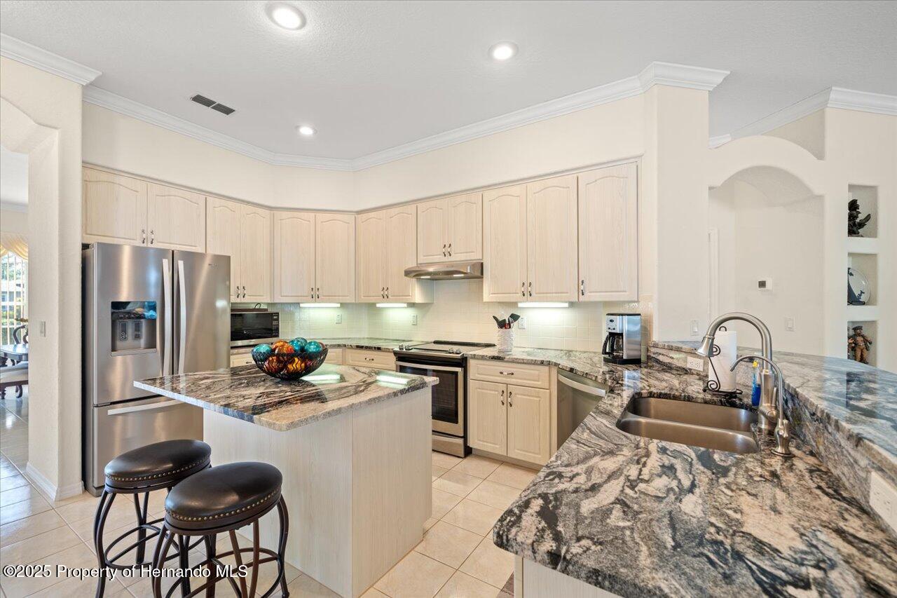 11137 Woodland Waters Boulevard, Spring Hill, Florida image 41