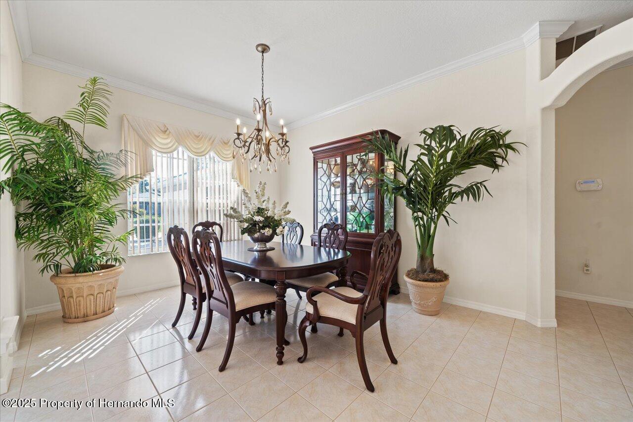 11137 Woodland Waters Boulevard, Spring Hill, Florida image 13