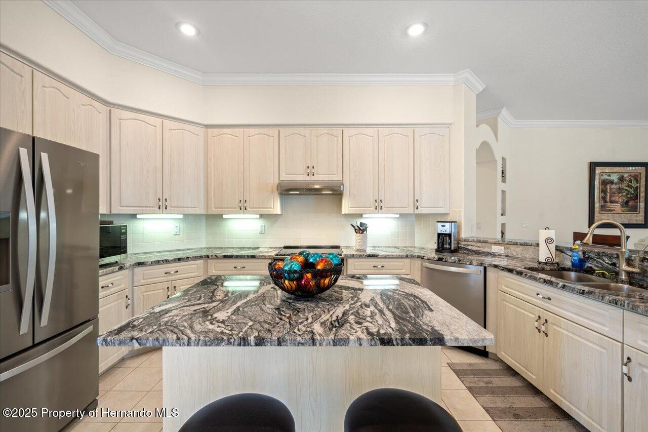 11137 Woodland Waters Boulevard, Spring Hill, Florida image 42