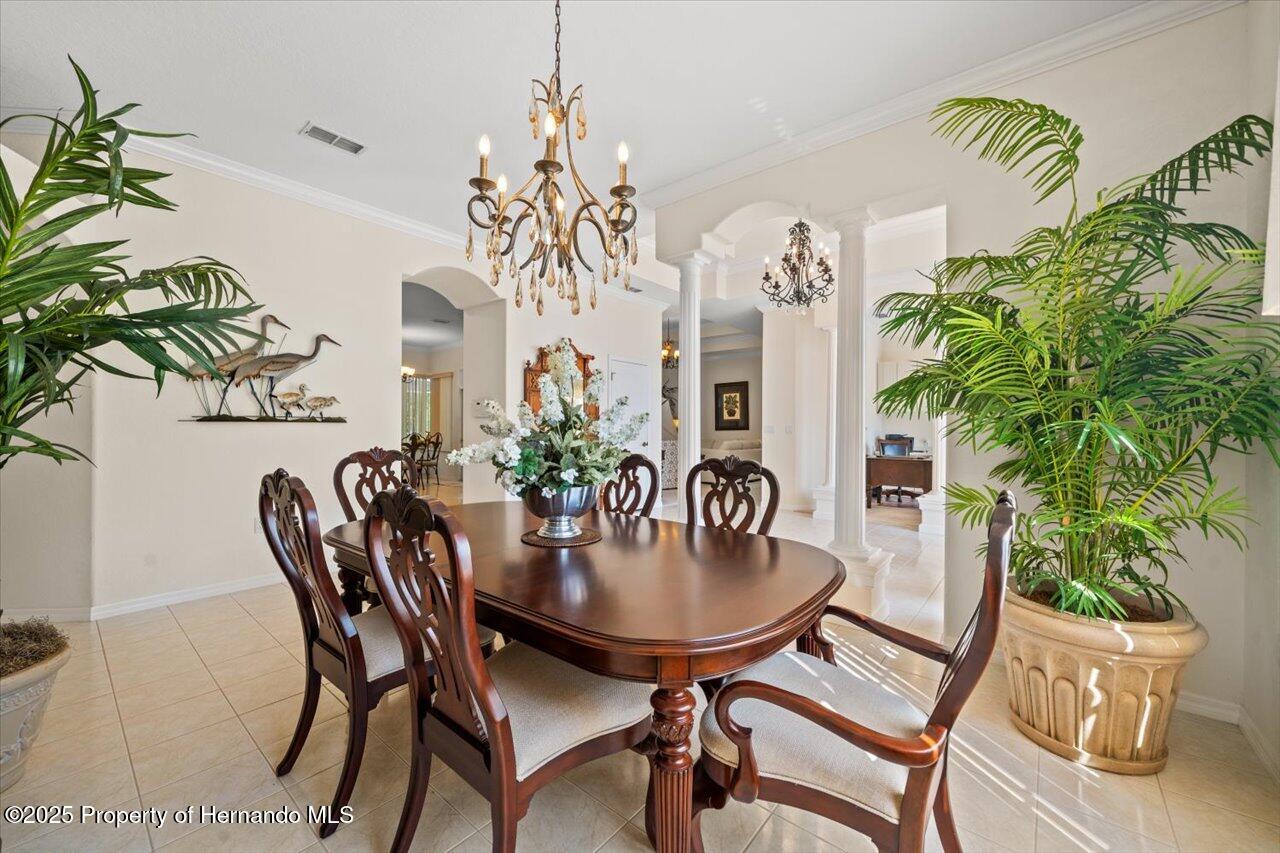 11137 Woodland Waters Boulevard, Spring Hill, Florida image 15