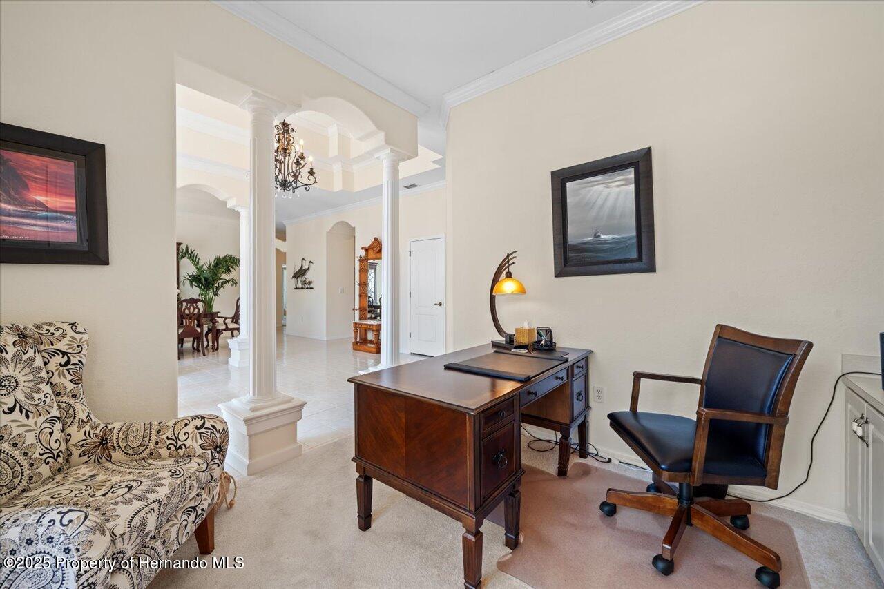 11137 Woodland Waters Boulevard, Spring Hill, Florida image 12