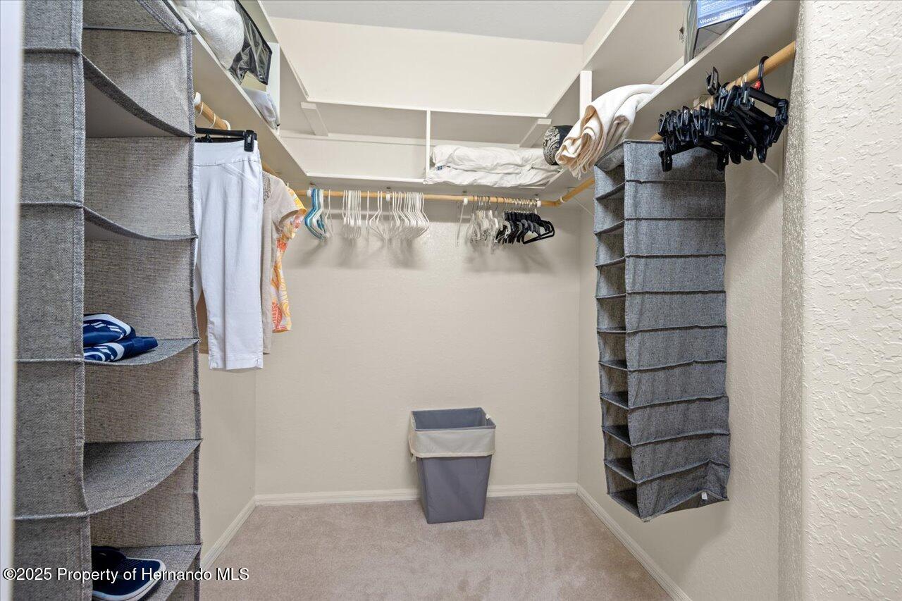11137 Woodland Waters Boulevard, Spring Hill, Florida image 28