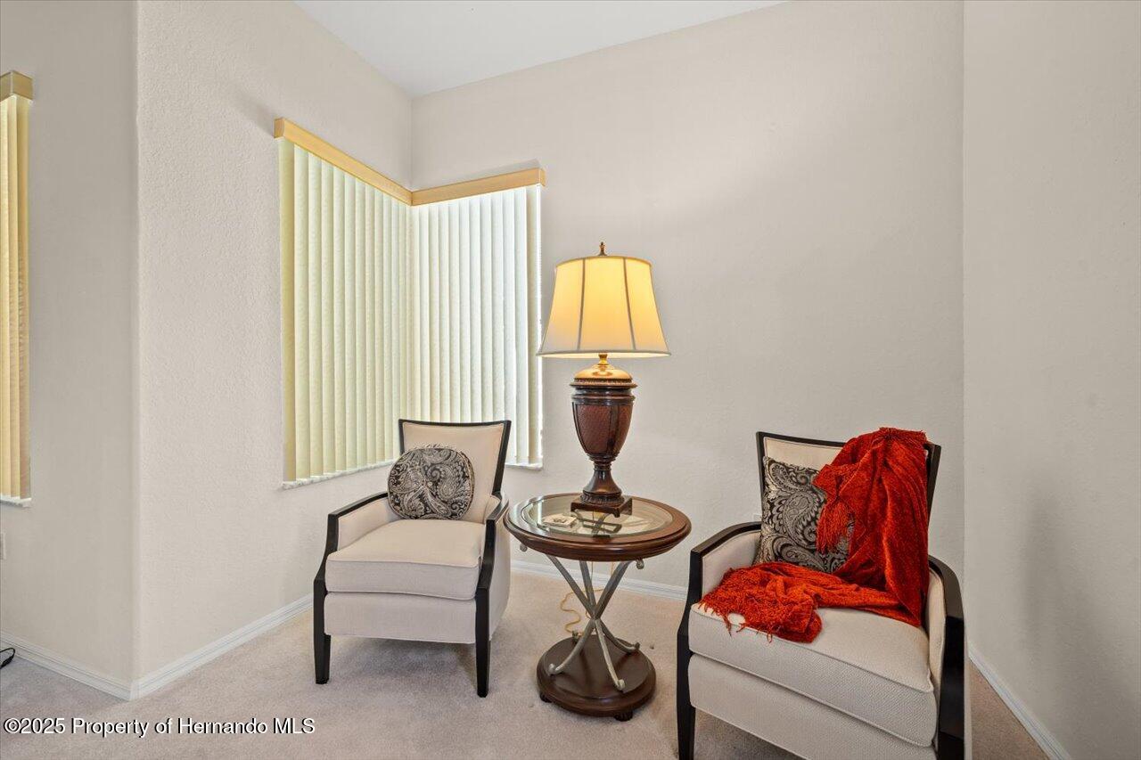 11137 Woodland Waters Boulevard, Spring Hill, Florida image 26
