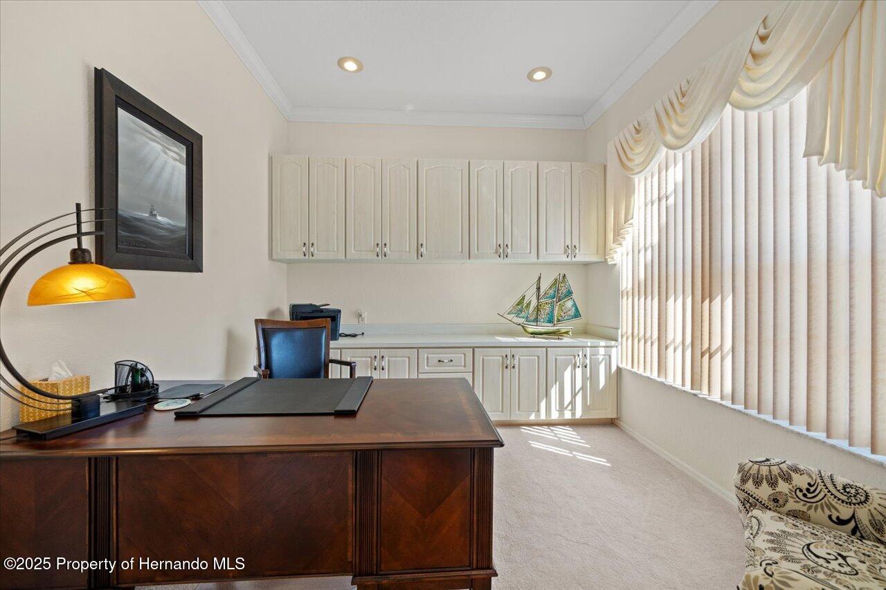 11137 Woodland Waters Boulevard, Spring Hill, Florida image 11