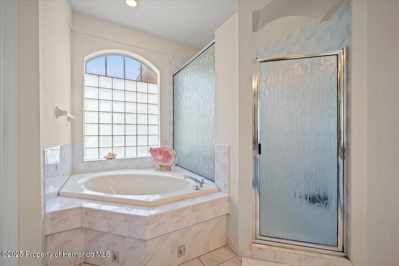 11137 Woodland Waters Boulevard, Spring Hill, Florida image 30