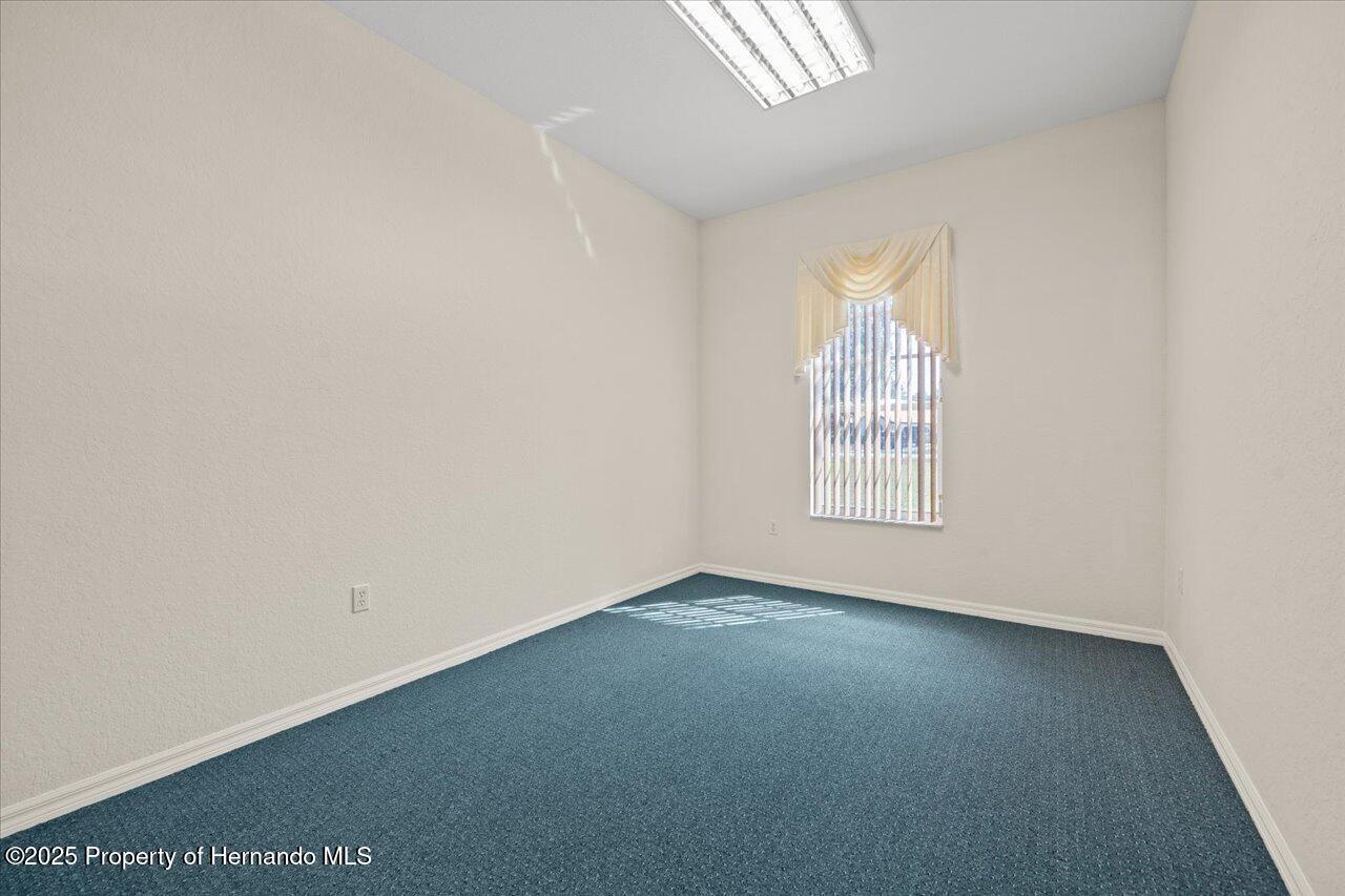 11137 Woodland Waters Boulevard, Spring Hill, Florida image 34