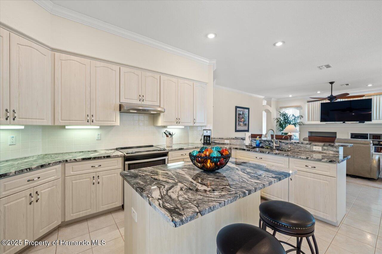 11137 Woodland Waters Boulevard, Spring Hill, Florida image 43