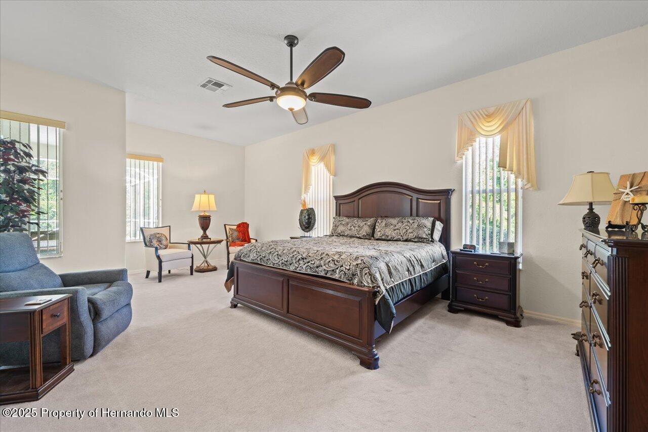 11137 Woodland Waters Boulevard, Spring Hill, Florida image 24