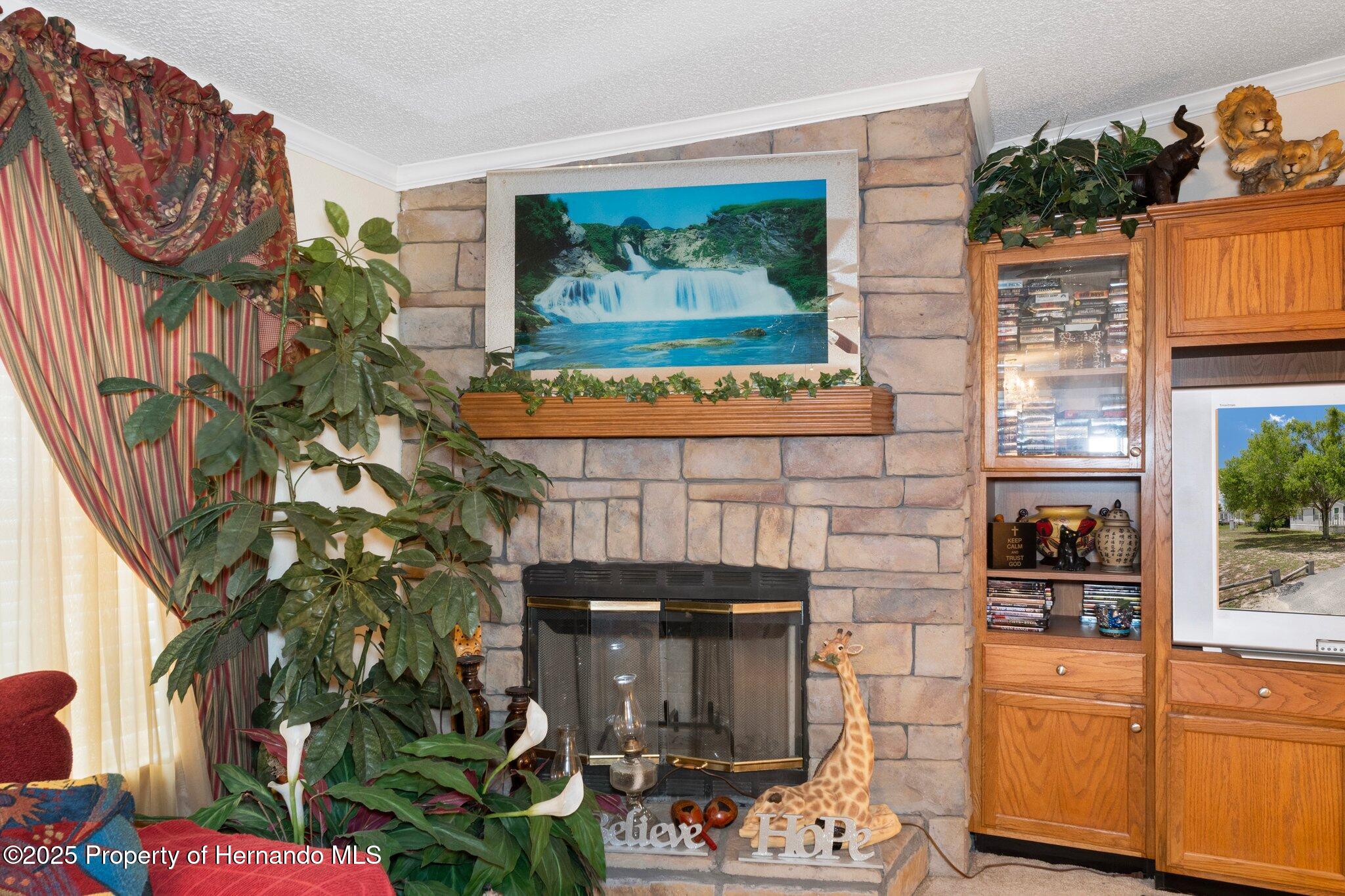 16125 Putnam Street, Brooksville, Florida image 6
