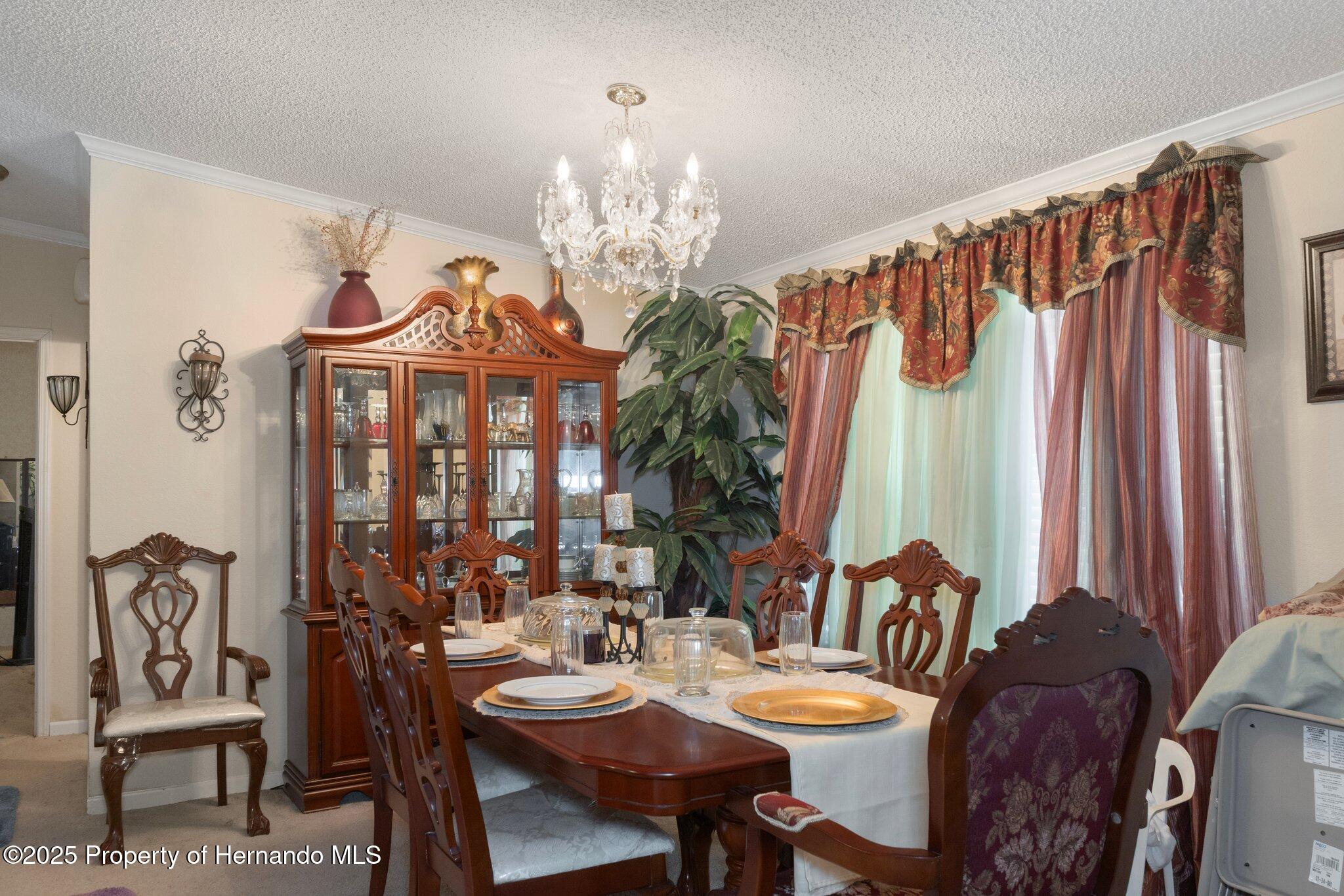 16125 Putnam Street, Brooksville, Florida image 7