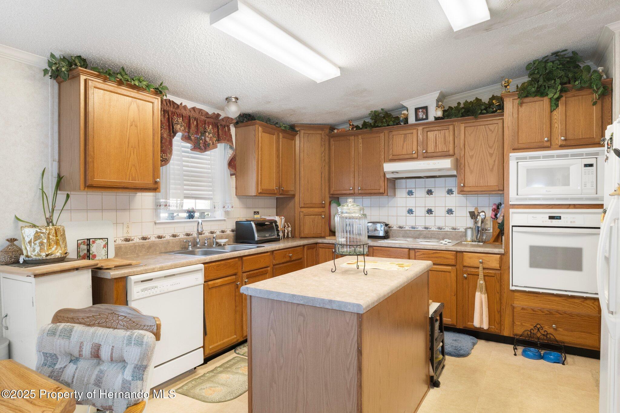 16125 Putnam Street, Brooksville, Florida image 11