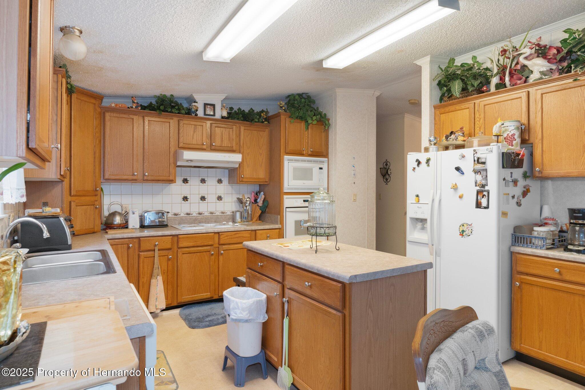 16125 Putnam Street, Brooksville, Florida image 12