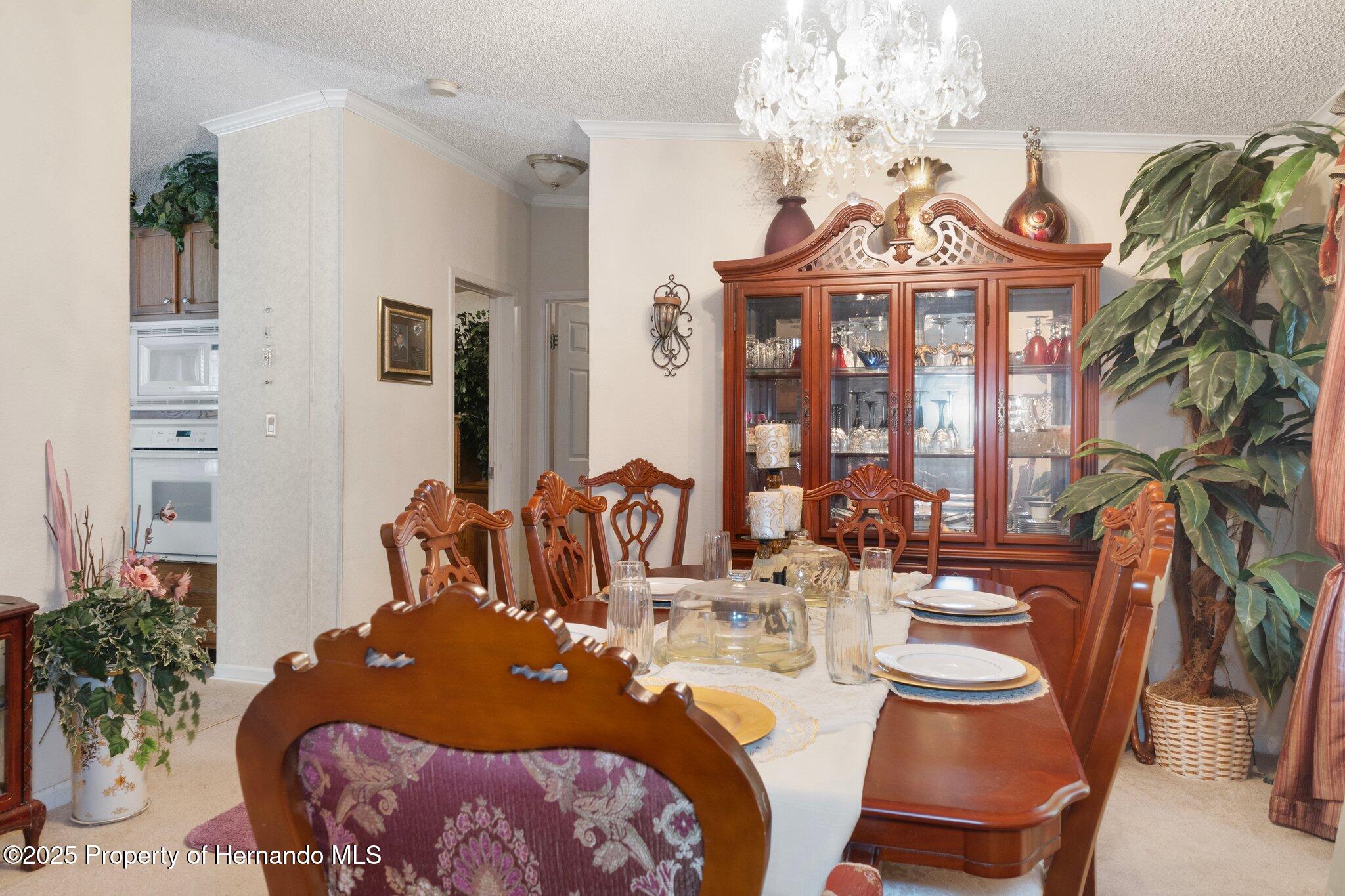 16125 Putnam Street, Brooksville, Florida image 8