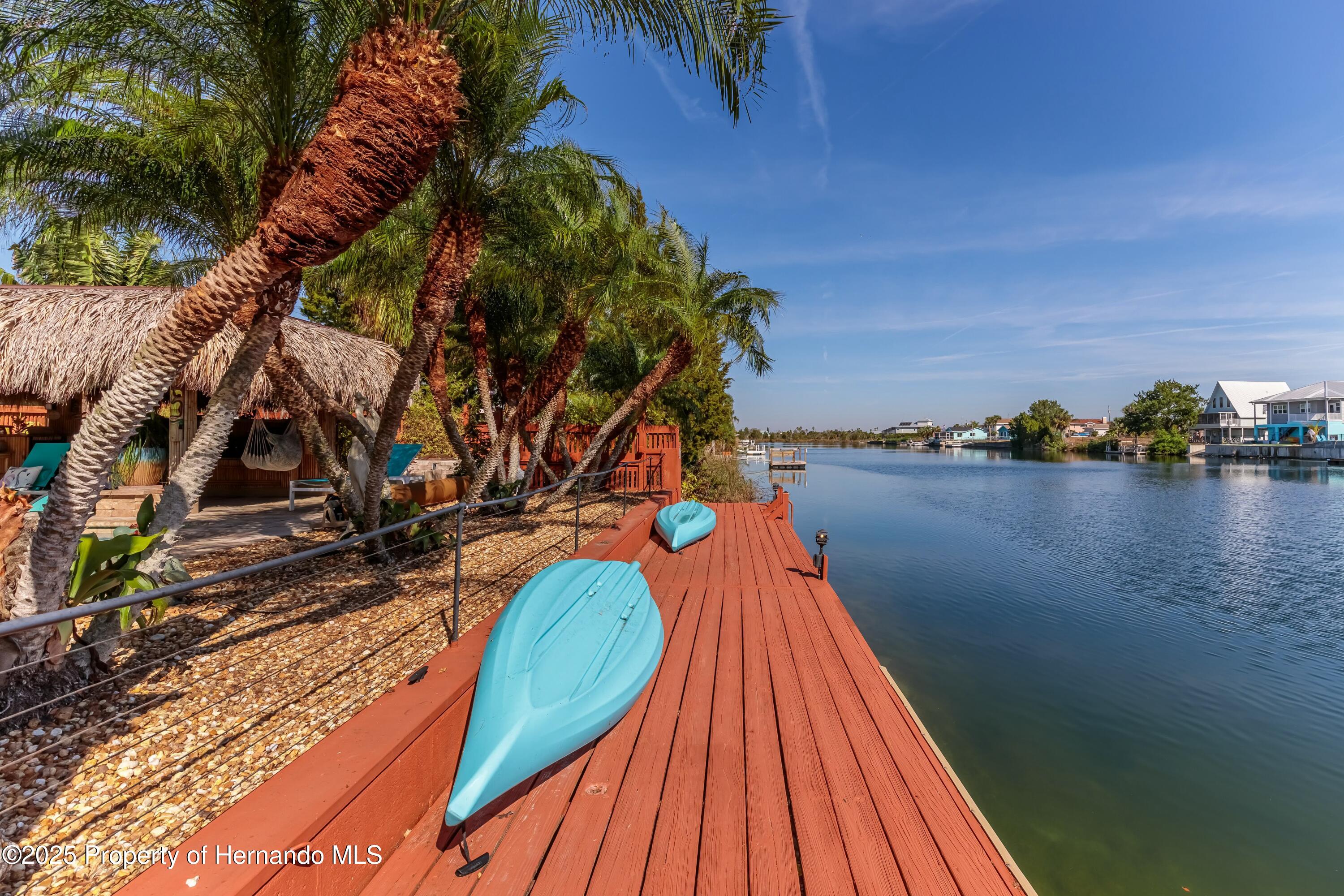 3308 Oleander Drive, HERNANDO BEACH, Florida image 10