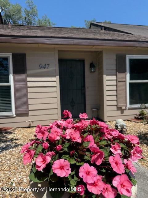 947 Village Drive, Brooksville, Florida image 3