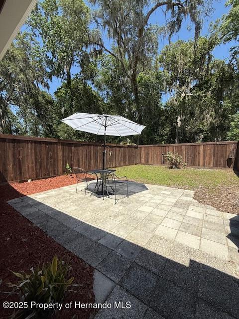 947 Village Drive, Brooksville, Florida image 22