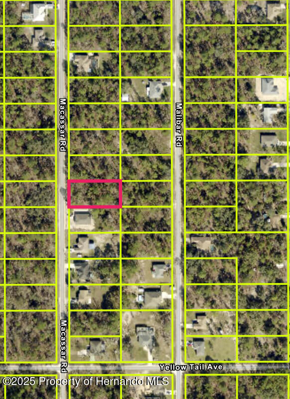 Macassar Road, Weeki Wachee, Florida image 4