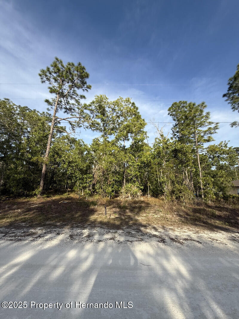 Macassar Road, Weeki Wachee, Florida image 1