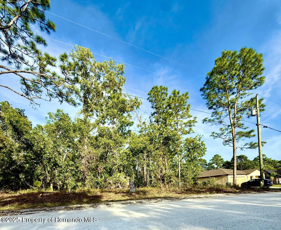 Macassar Road, Weeki Wachee, Florida image 2