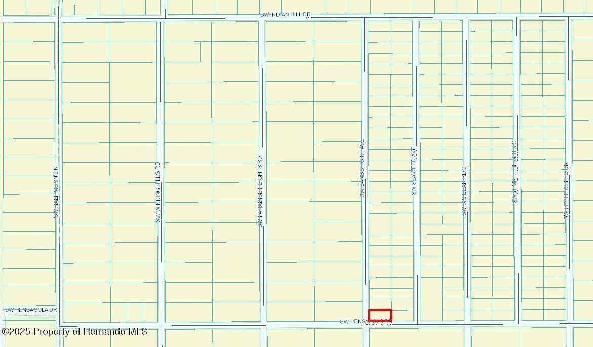 429643 Sw Sands Point Avenue, Dunnellon, Florida image 2