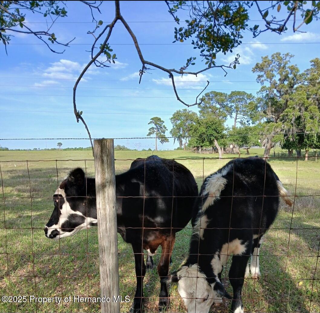 426 N Turkey Pine Loop, Lecanto, Florida image 10