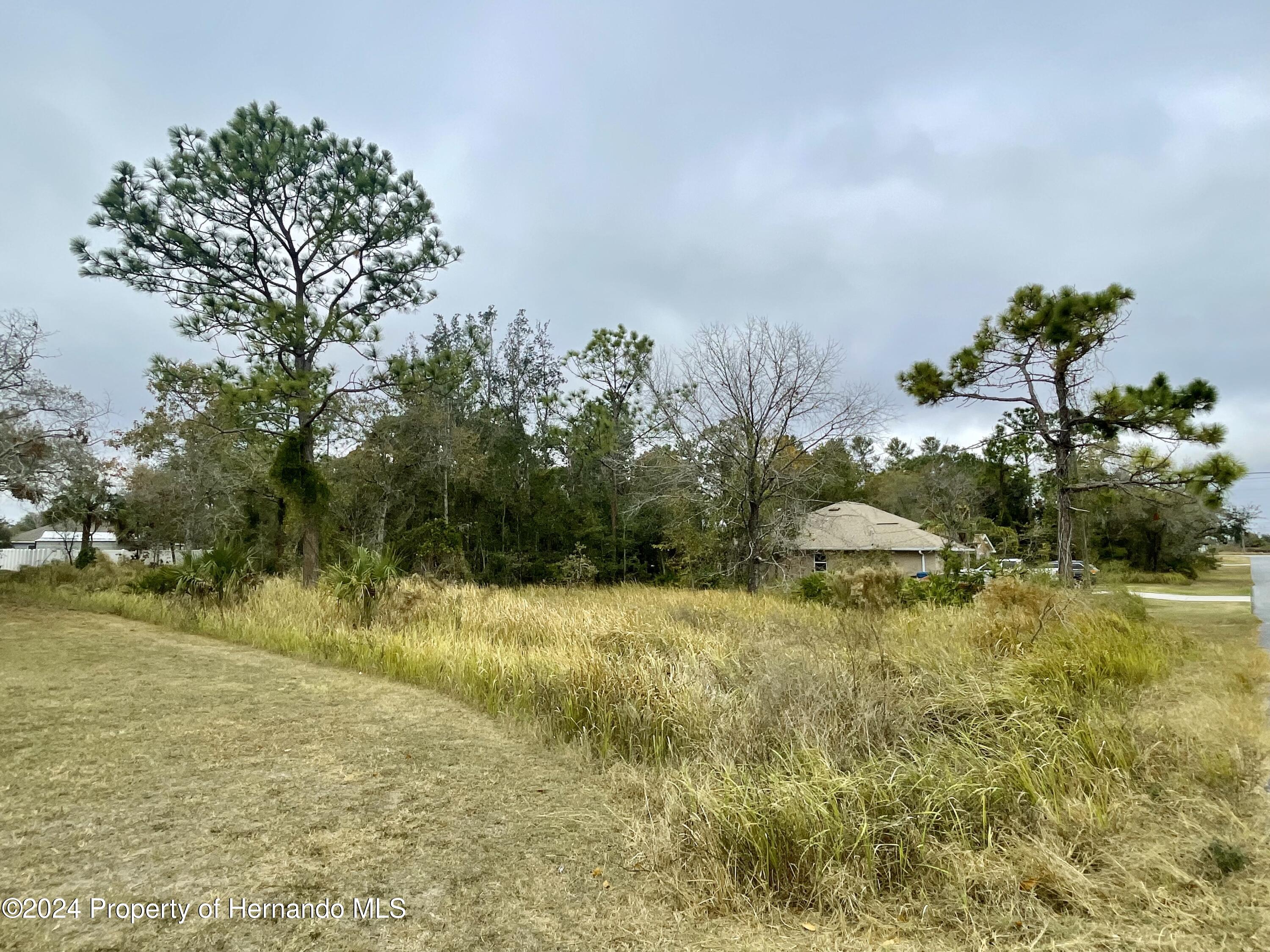 Golden Warbler Rd, Brooksville, Florida image 2