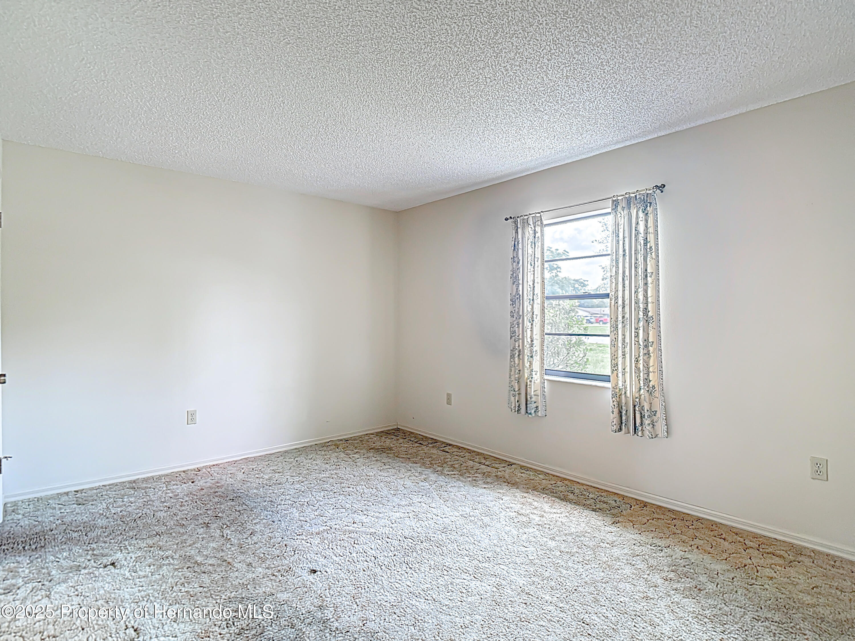10139 Carrin Road, Spring Hill, Florida image 24