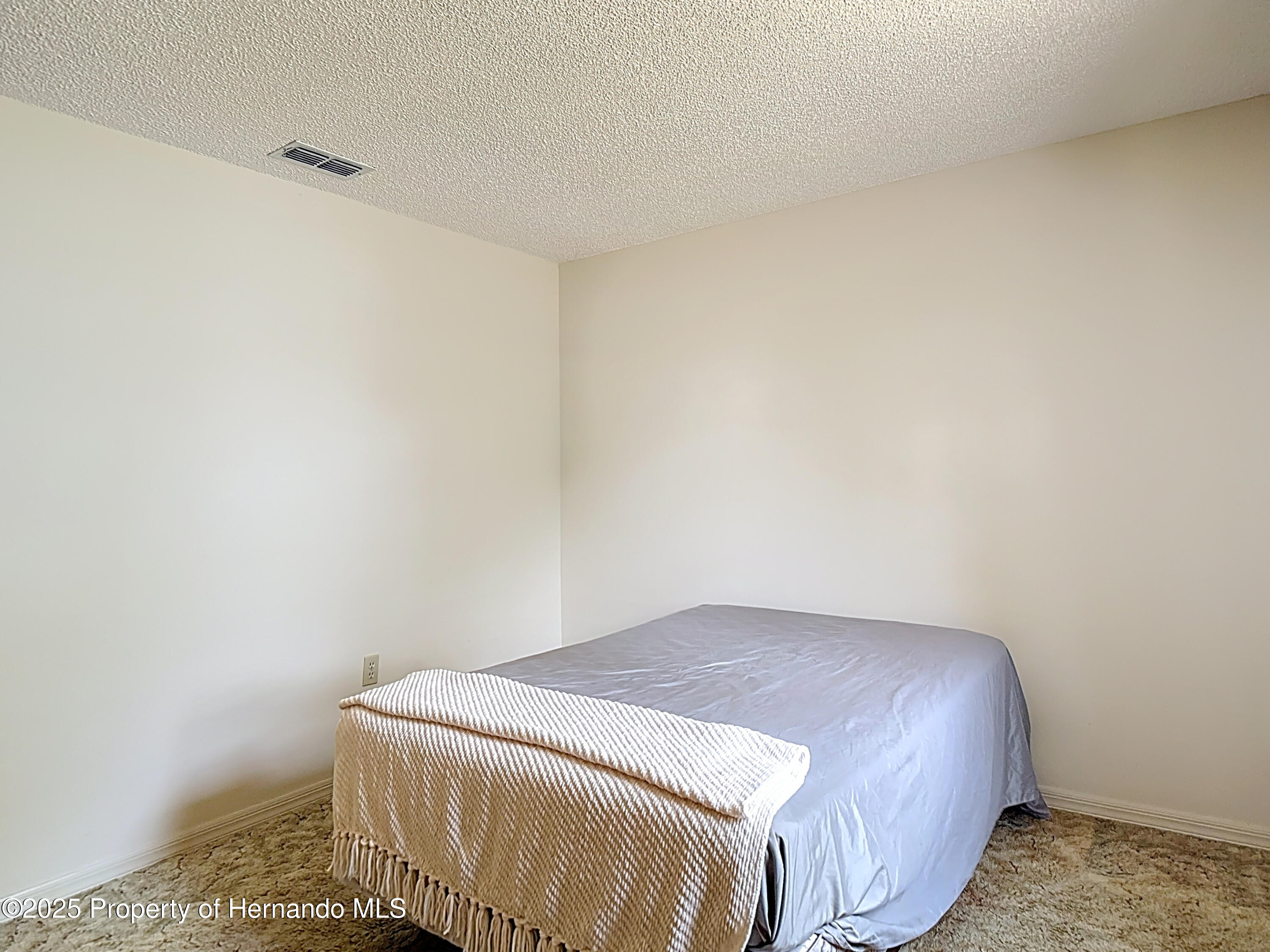 10139 Carrin Road, Spring Hill, Florida image 32