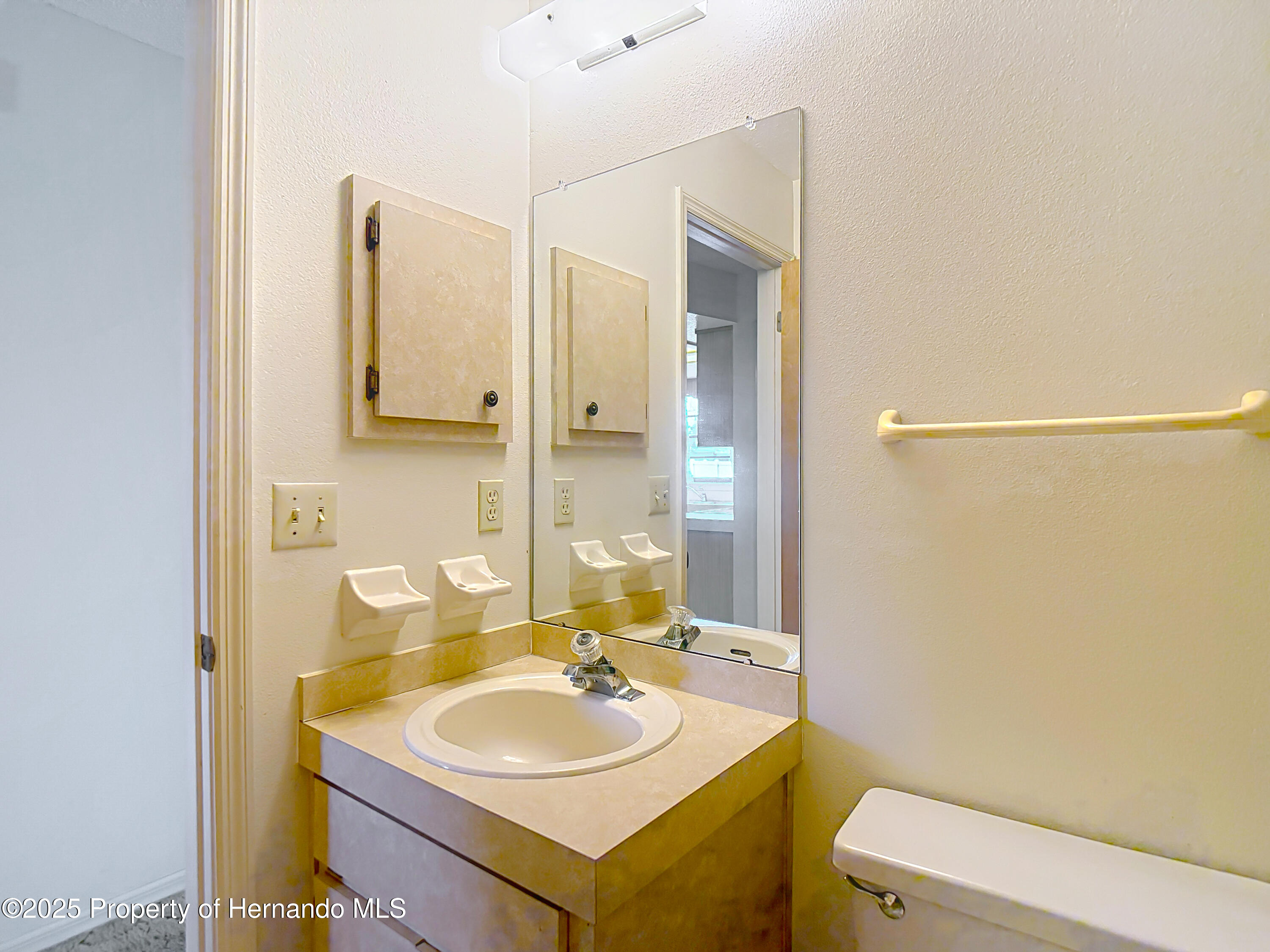 10139 Carrin Road, Spring Hill, Florida image 36