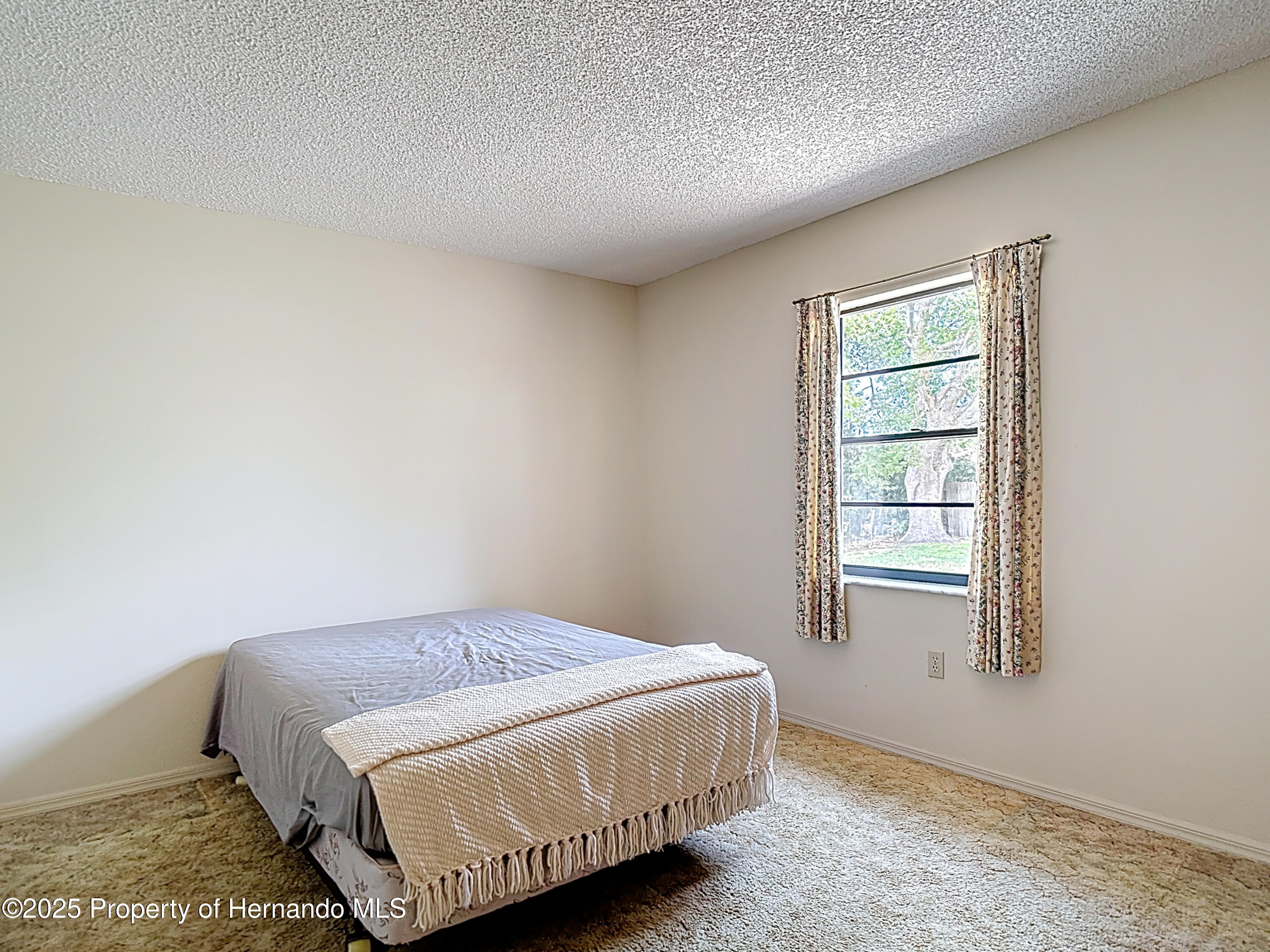 10139 Carrin Road, Spring Hill, Florida image 33