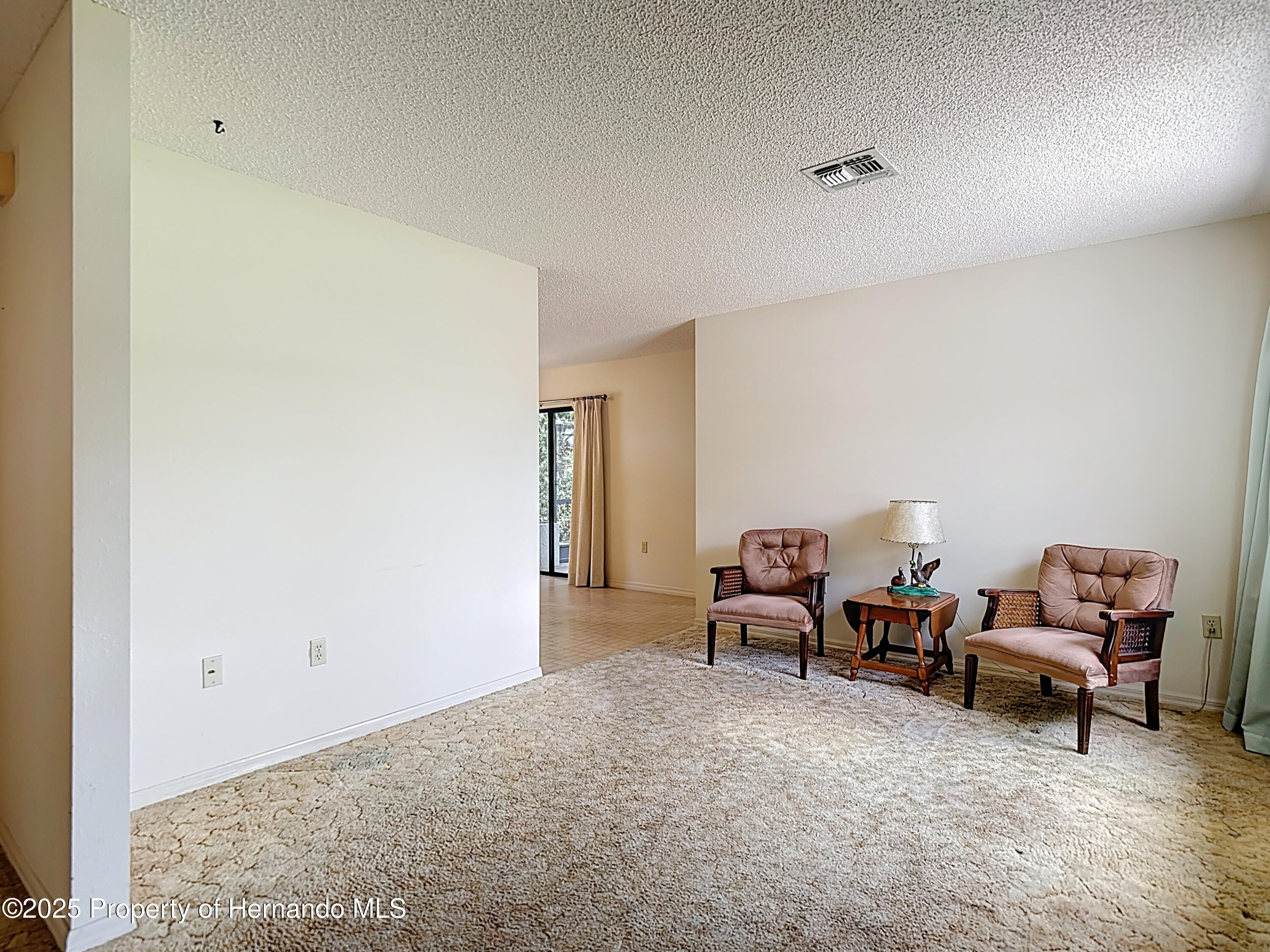 10139 Carrin Road, Spring Hill, Florida image 12