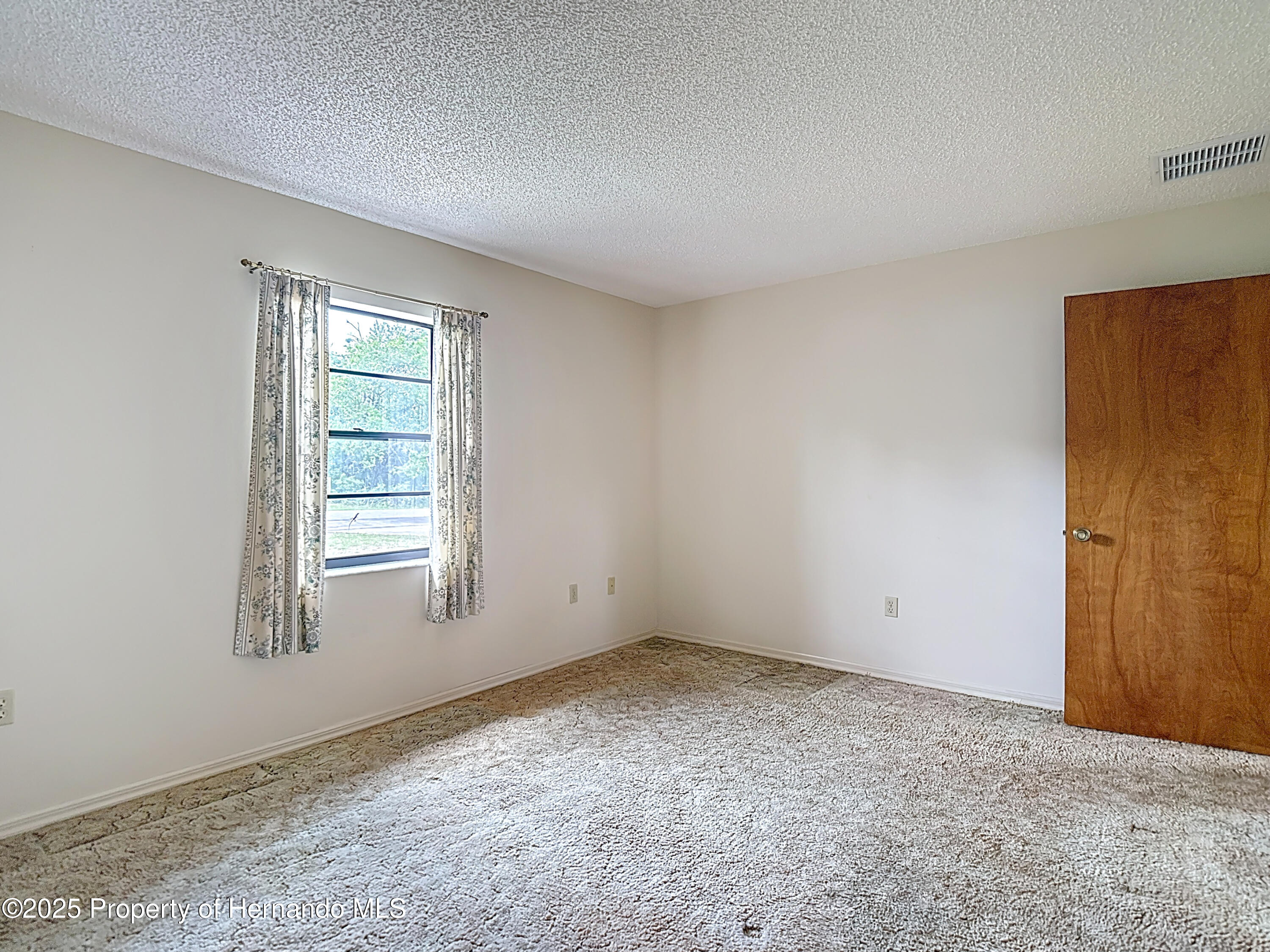 10139 Carrin Road, Spring Hill, Florida image 28