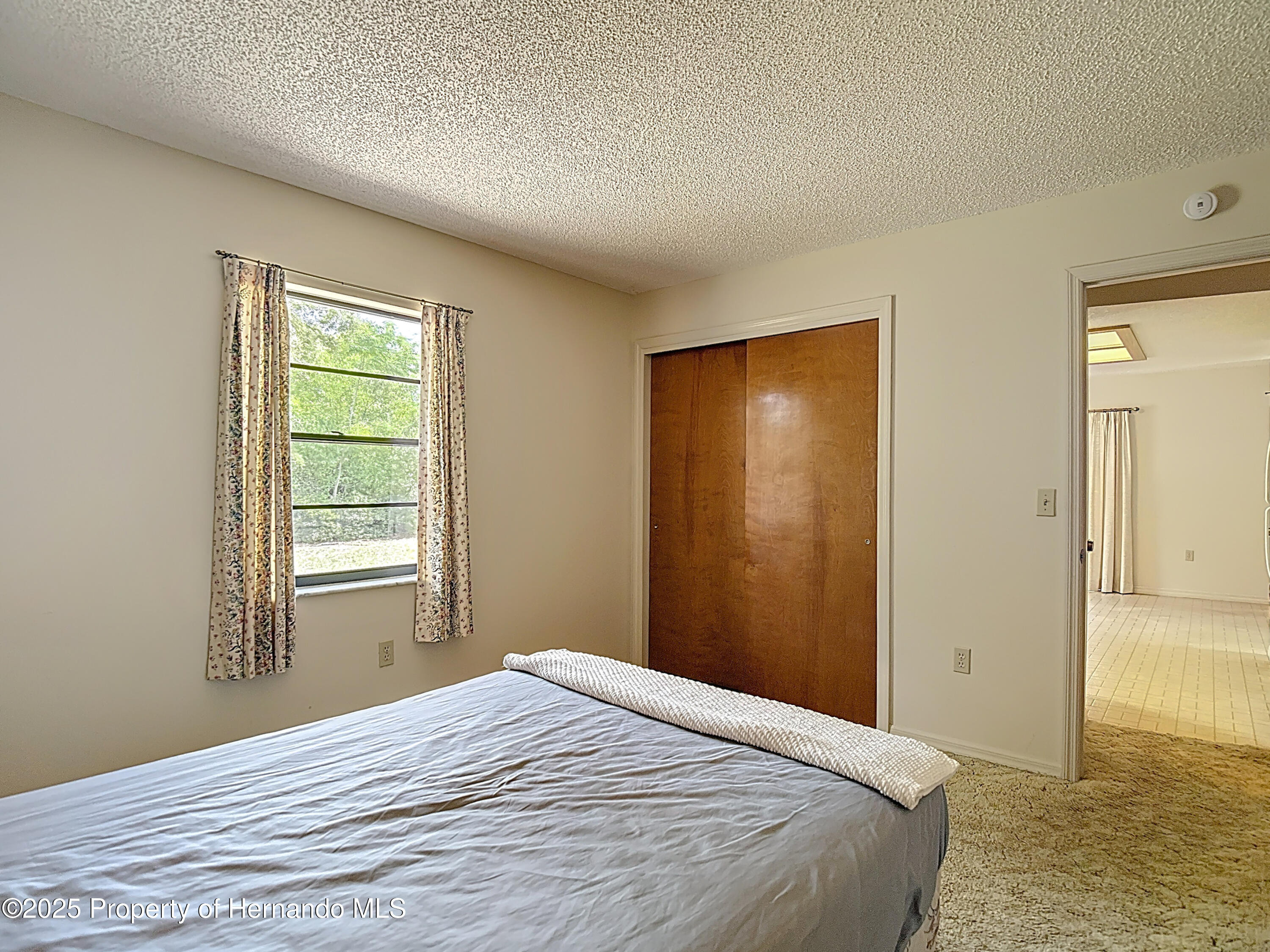10139 Carrin Road, Spring Hill, Florida image 34