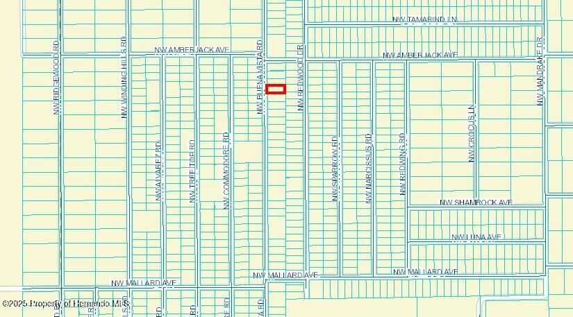 463833 Nw Buena Vista Road, Dunnellon, Florida image 2