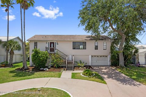 Homes For Sale - 4048 Bluefish Drive<br/> HERNANDO BEACH, FL 34607