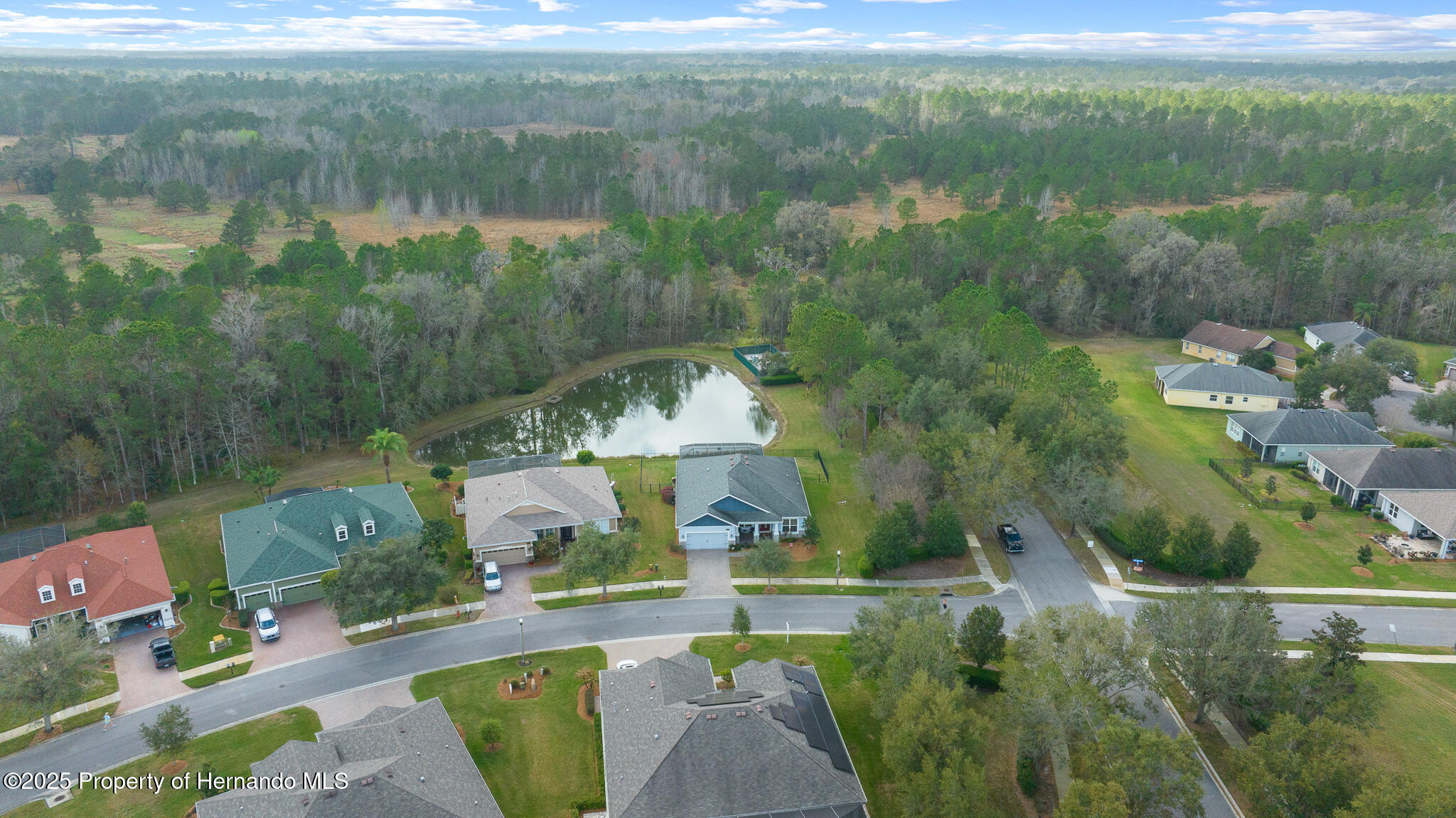 19770 Tattnall Way, Brooksville, Florida image 7