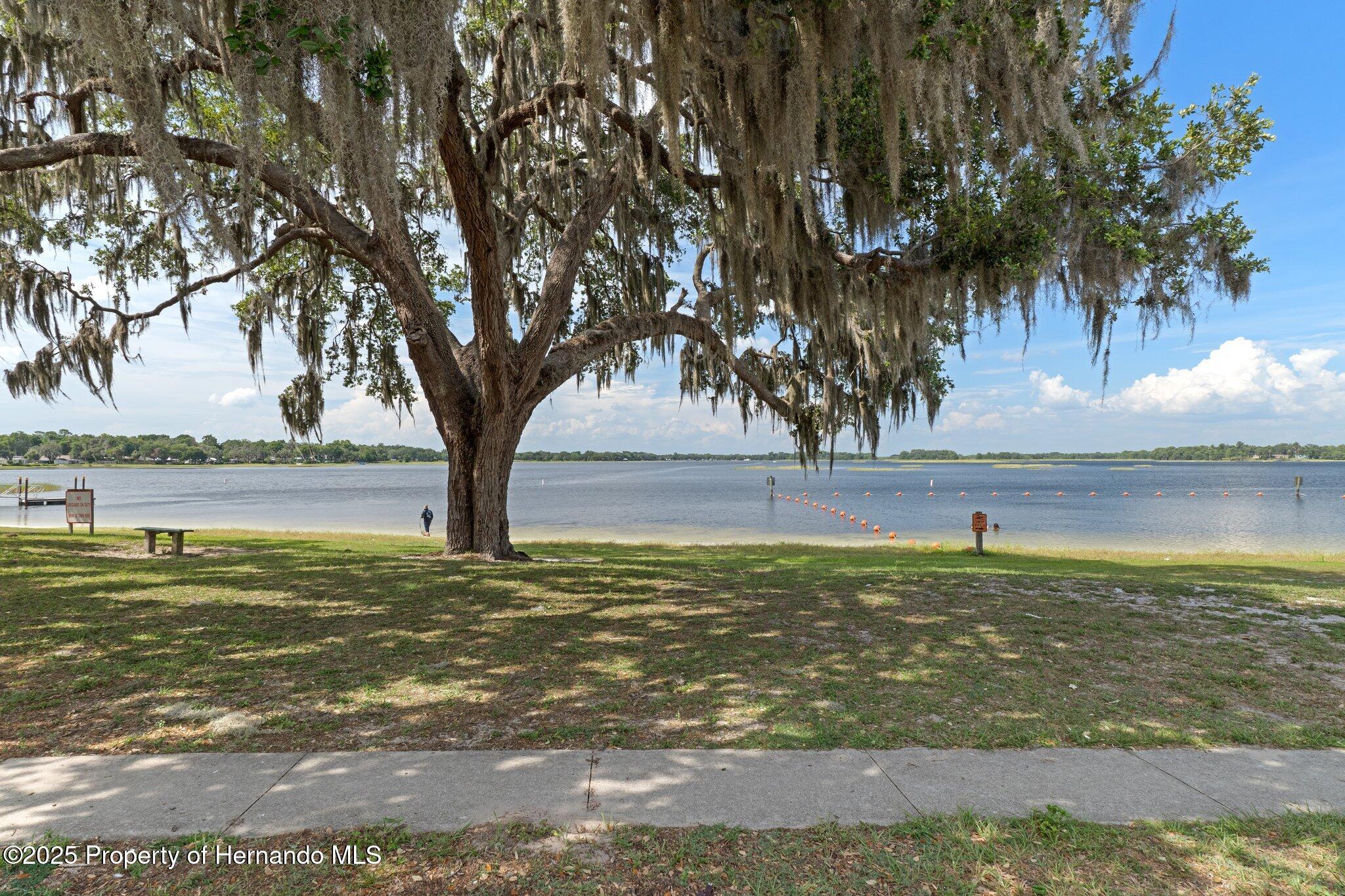 6079 N Blue Bream Terrace, Hernando, Florida image 30