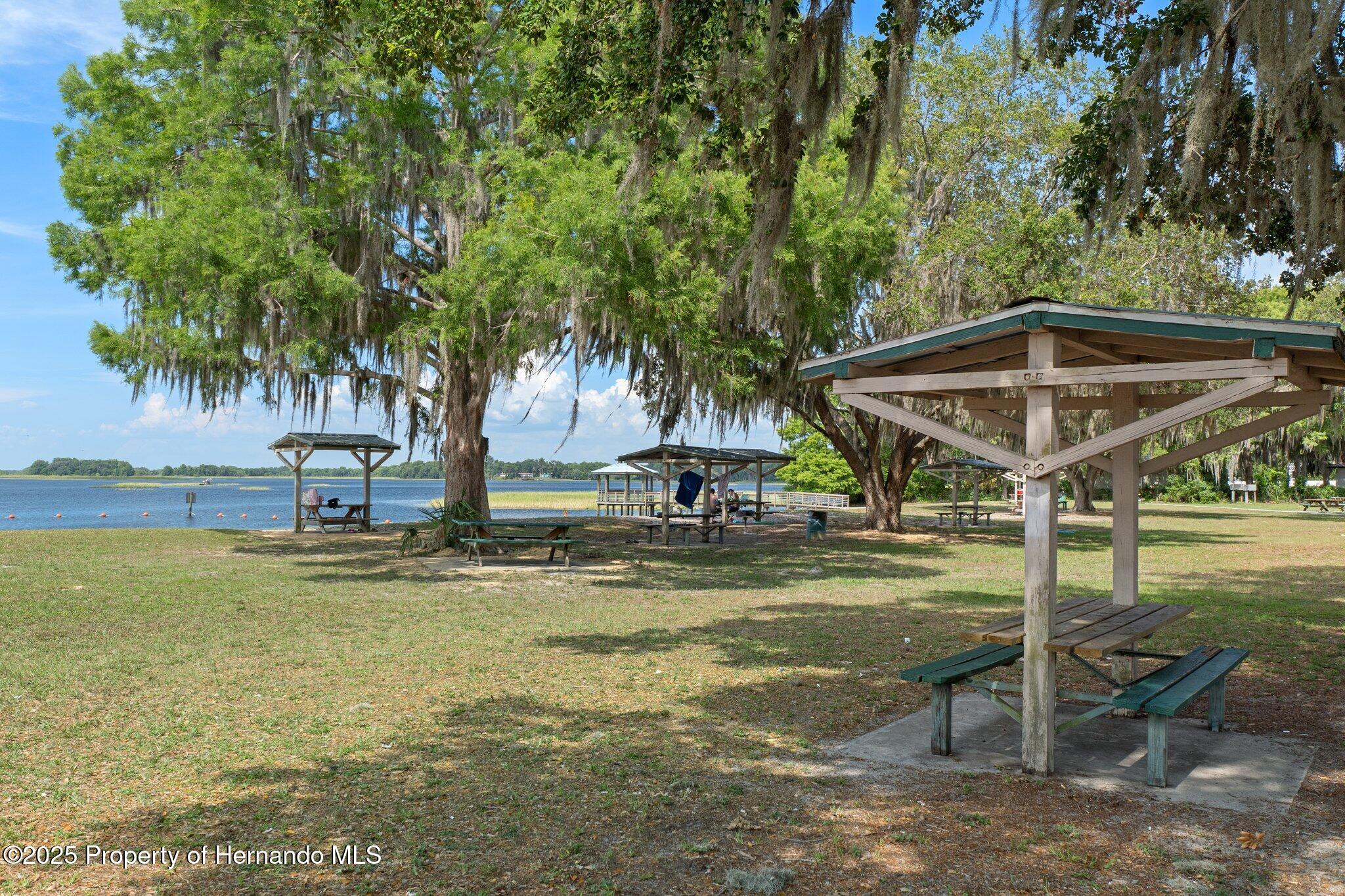 6079 N Blue Bream Terrace, Hernando, Florida image 34
