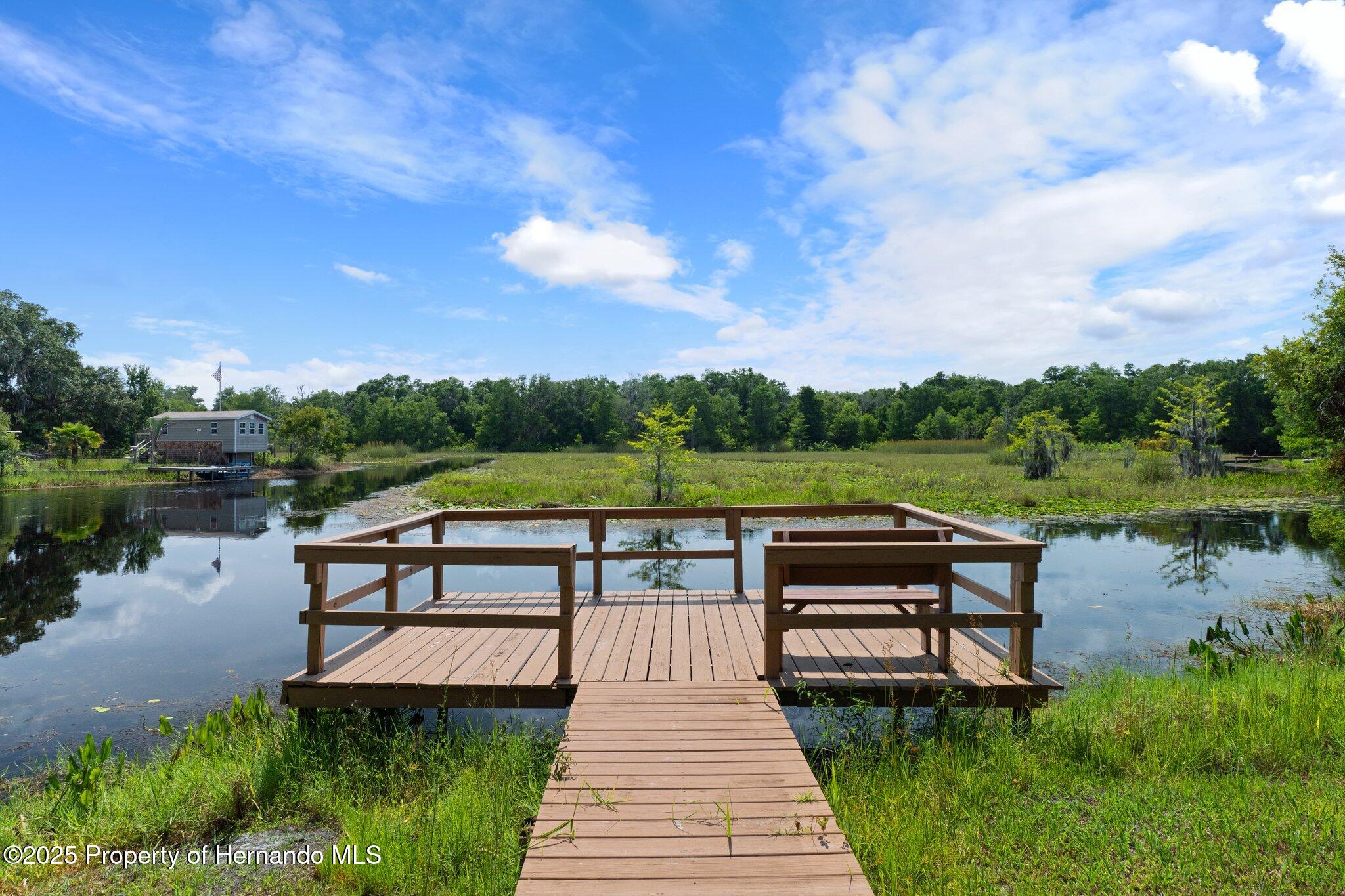 6079 N Blue Bream Terrace, Hernando, Florida image 40
