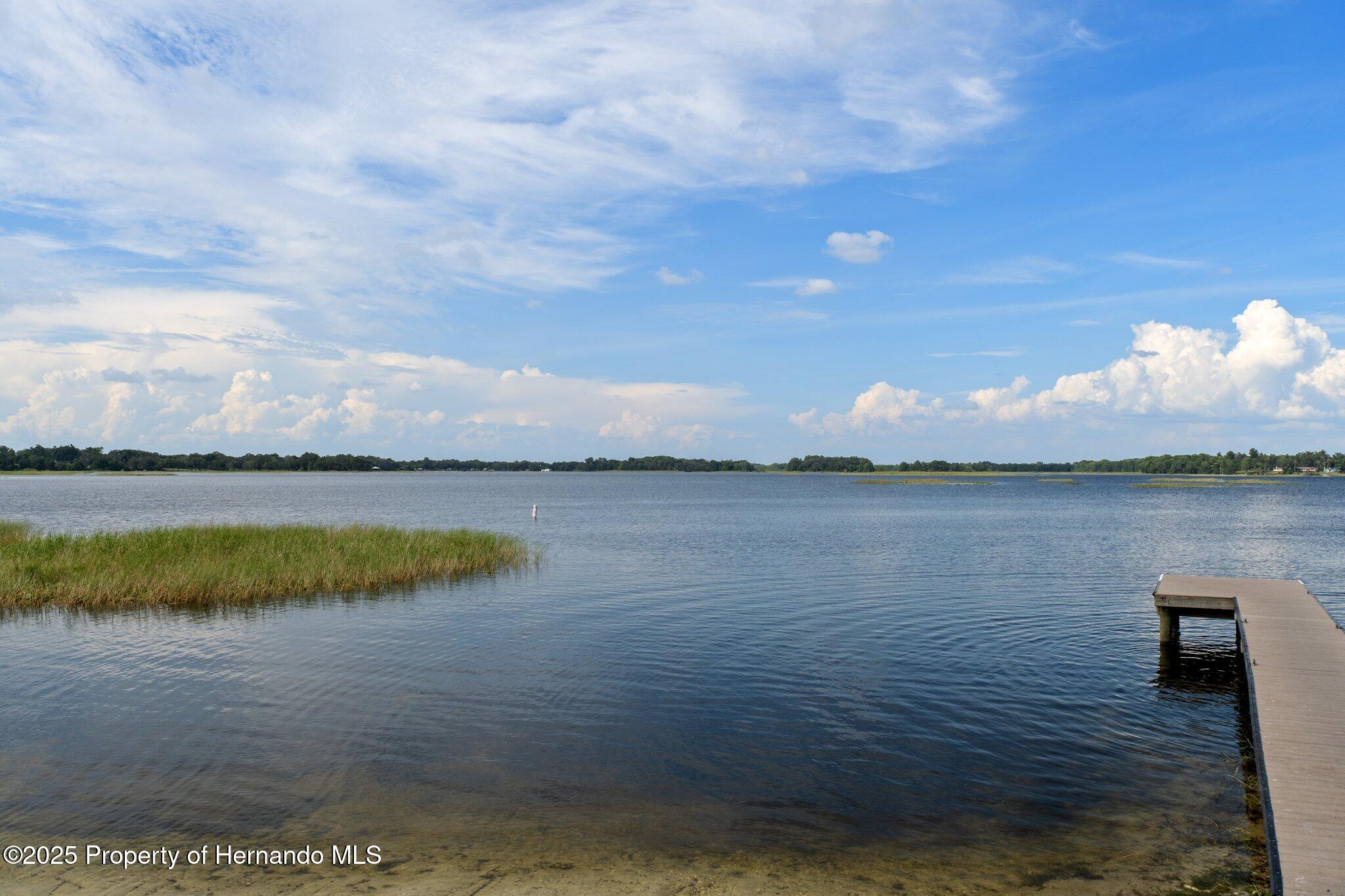 6079 N Blue Bream Terrace, Hernando, Florida image 36