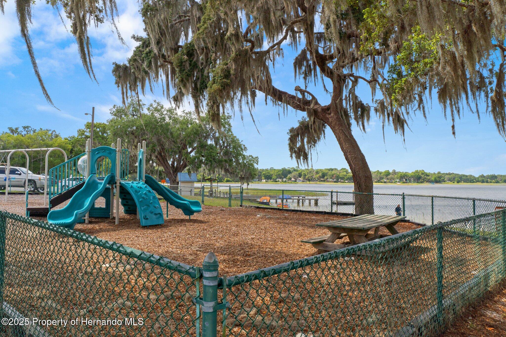 6079 N Blue Bream Terrace, Hernando, Florida image 31