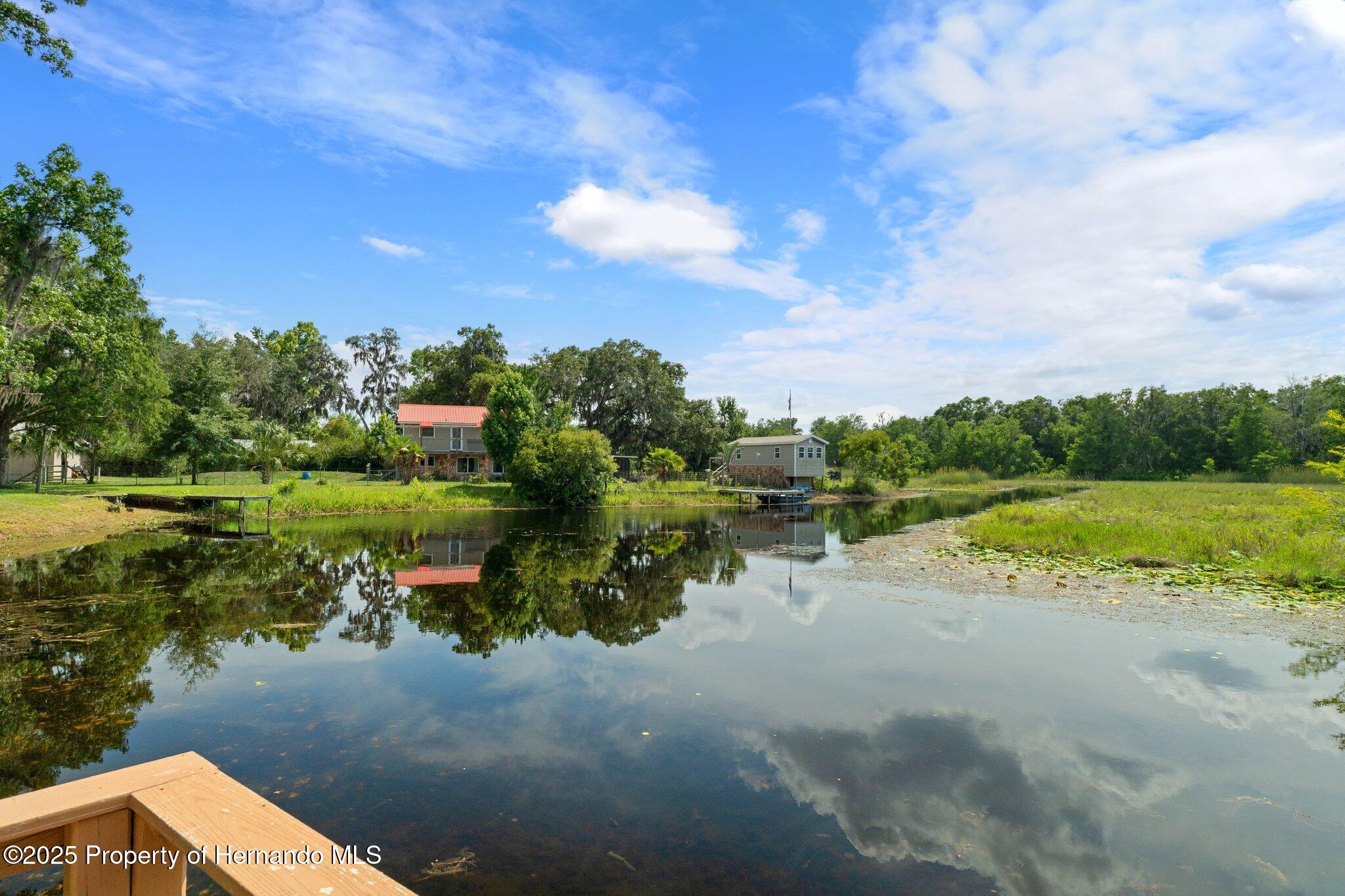 6079 N Blue Bream Terrace, Hernando, Florida image 41