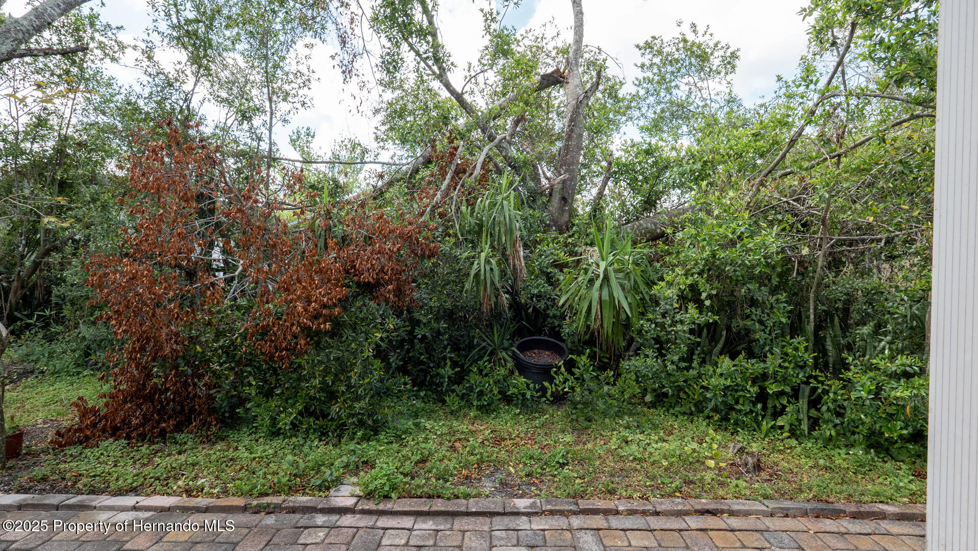 10906 New Brighton Court, New Port Richey, Florida image 34