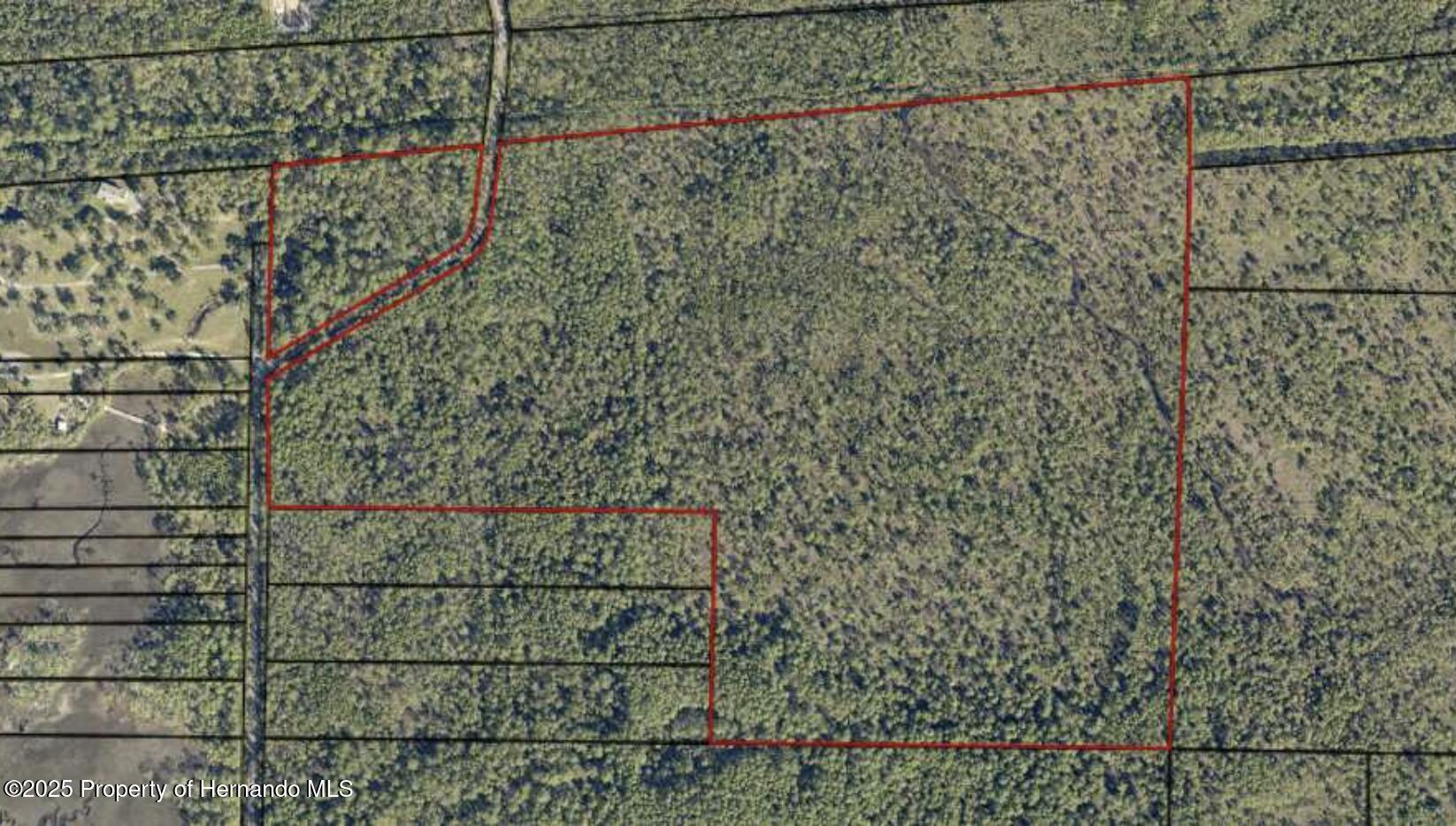 Pearson Road, Milton, Florida image 1