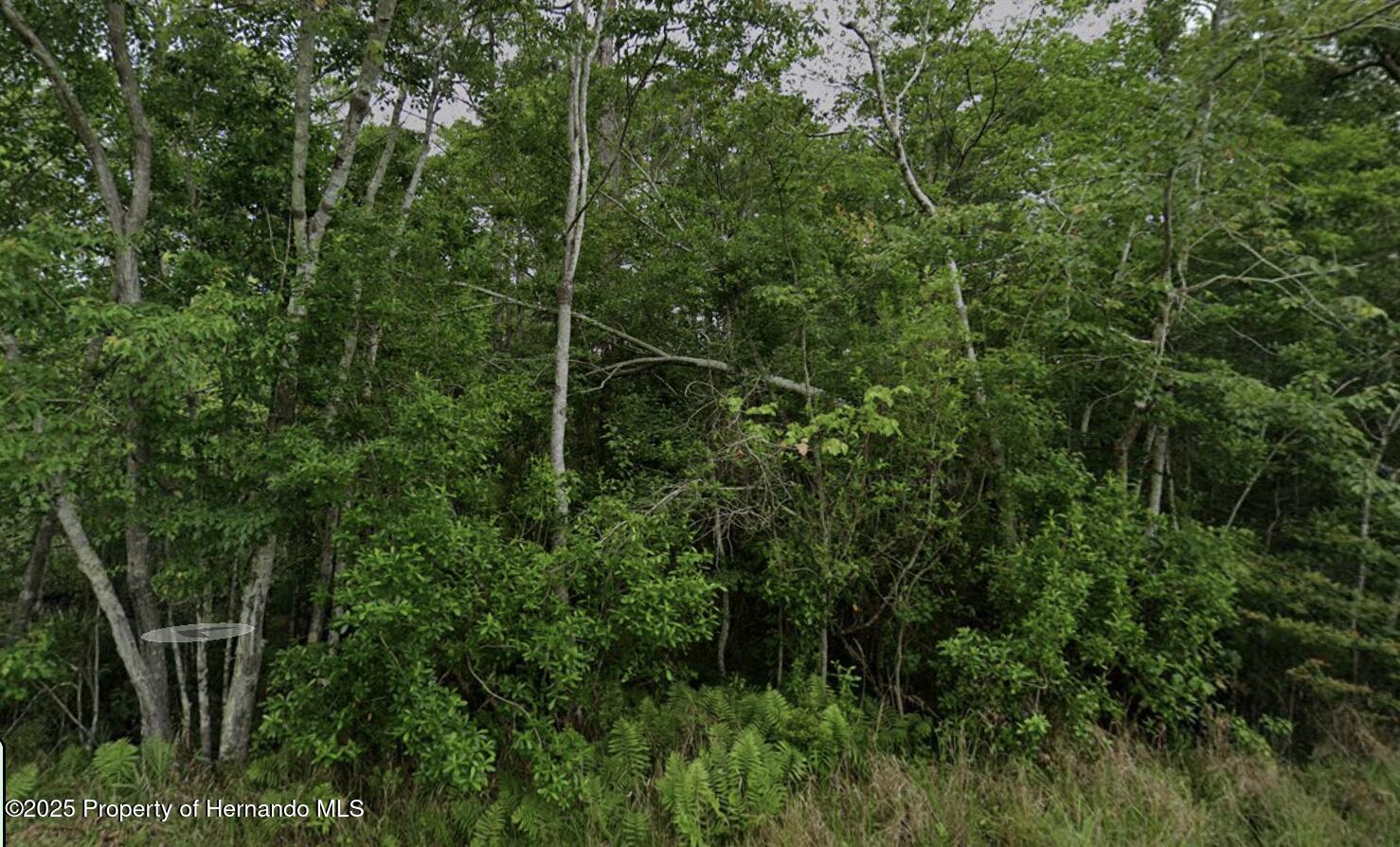 Pearson Road, Milton, Florida image 4