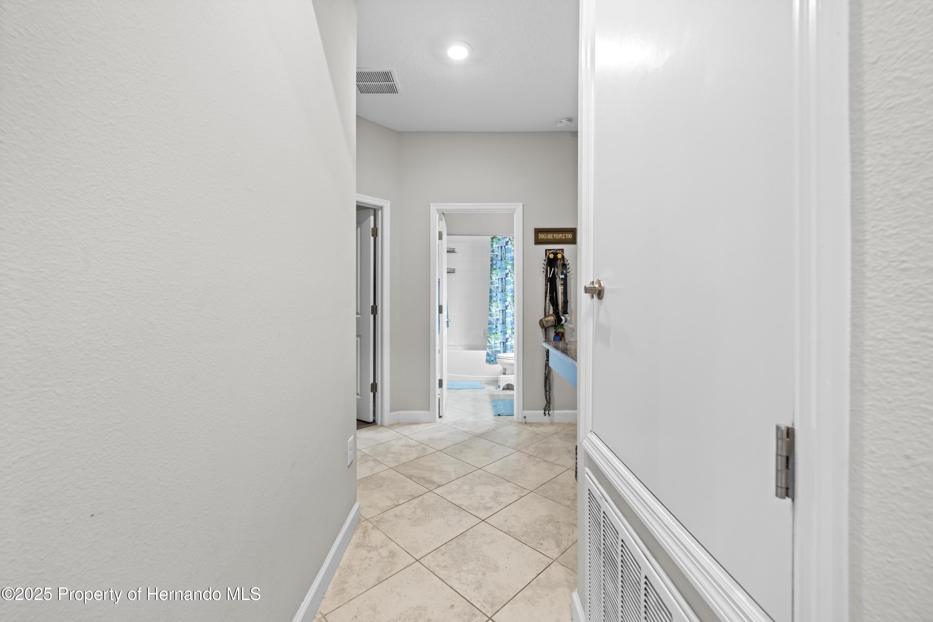11506 Freshwater Ridge Drive, Riverview, Florida image 16