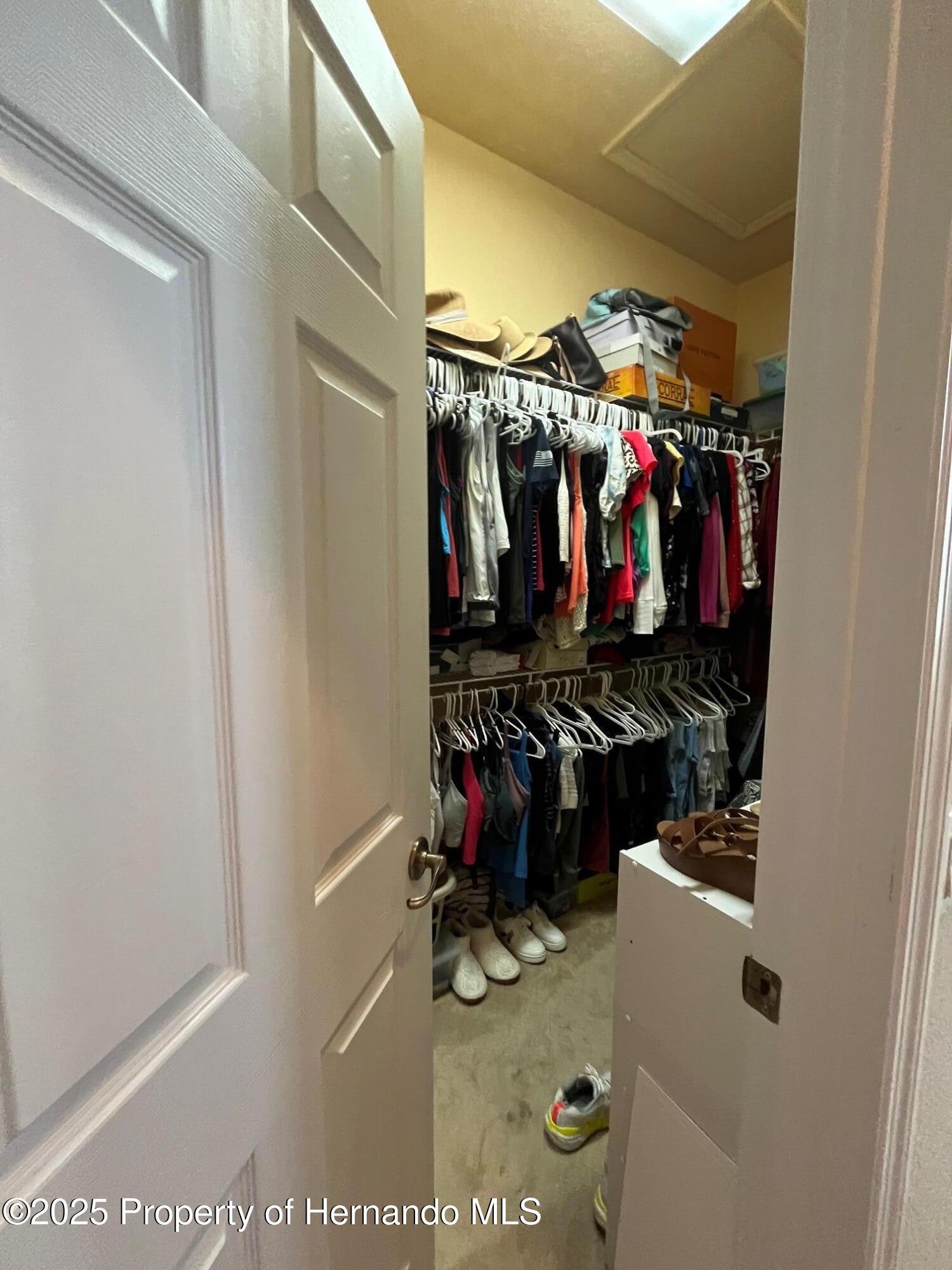 13248 Linzia Lane, Spring Hill, Florida image 45