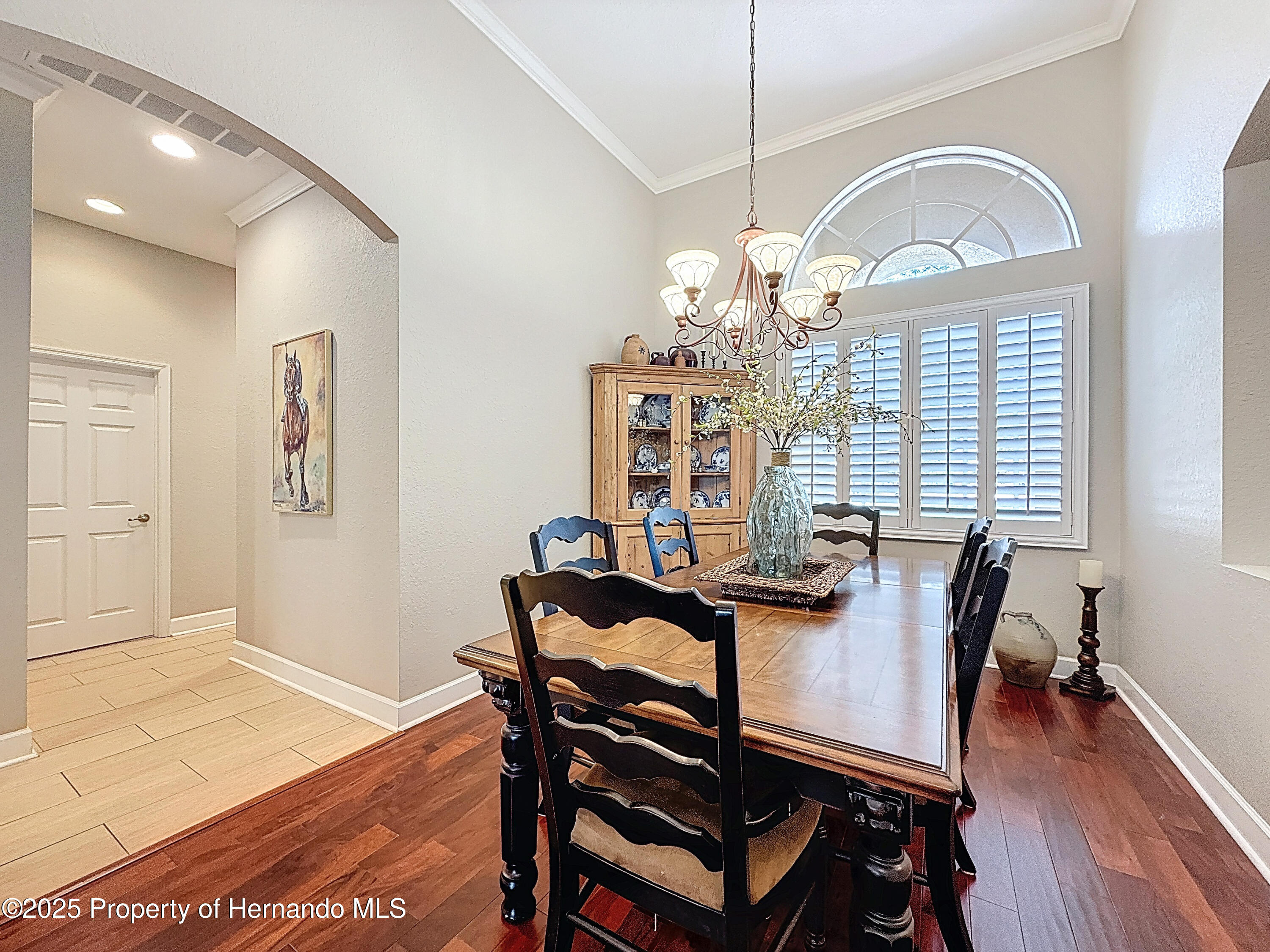 13248 Linzia Lane, Spring Hill, Florida image 13