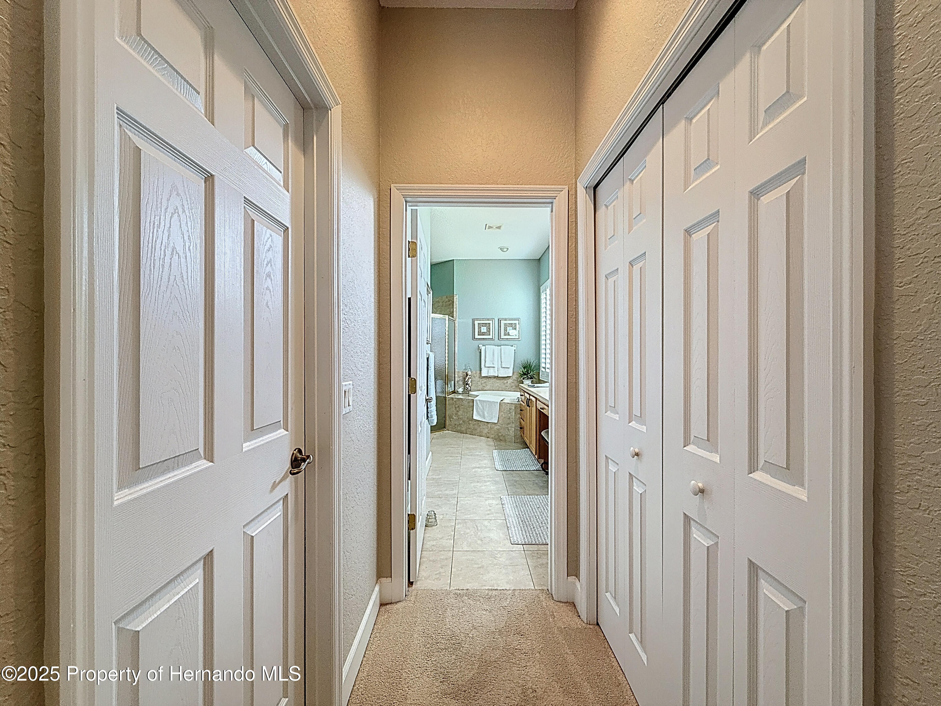 13248 Linzia Lane, Spring Hill, Florida image 44